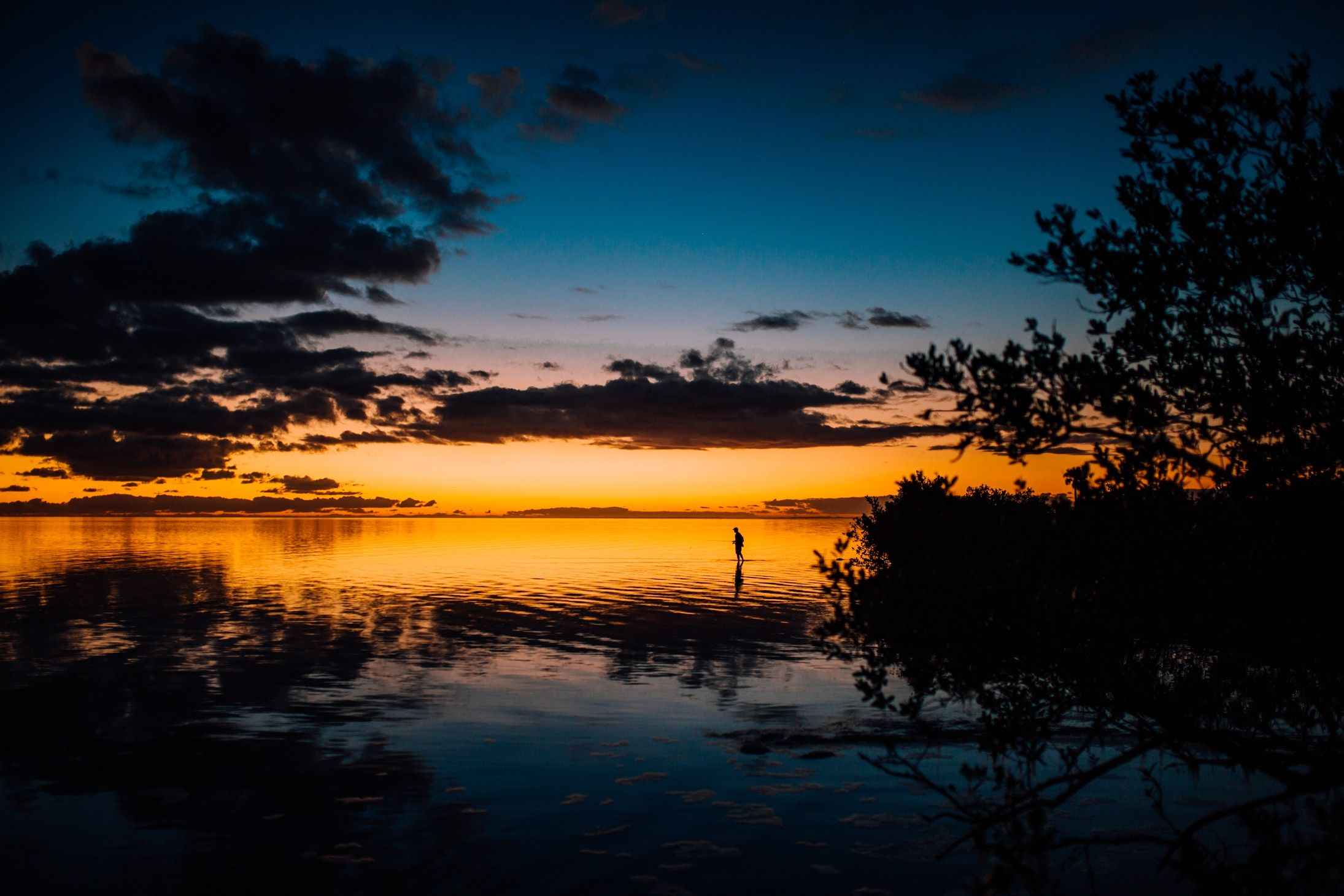 Booking Your Fishing Trip in Cortez, FL