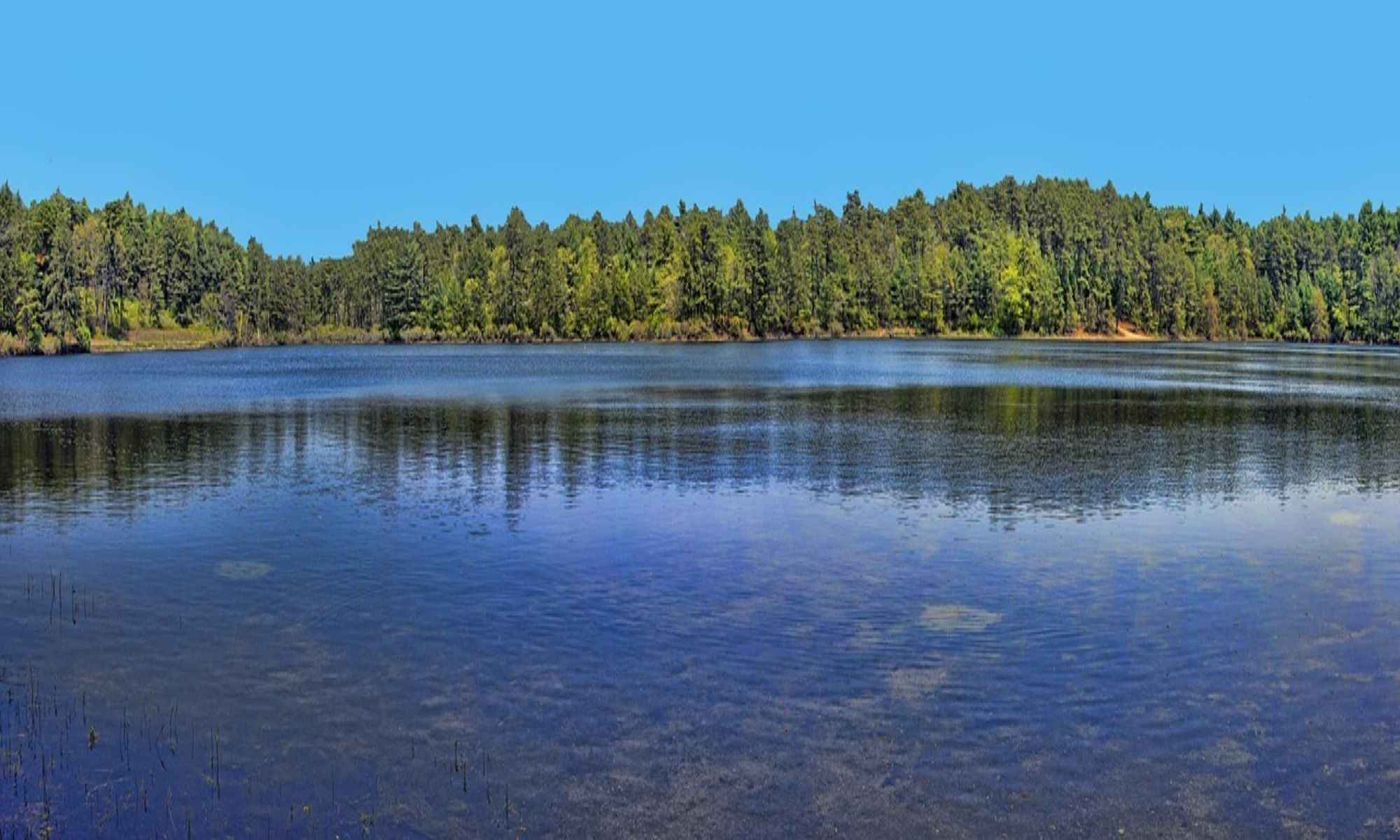 Book Your Fishing Charter in Chesterfield, MA