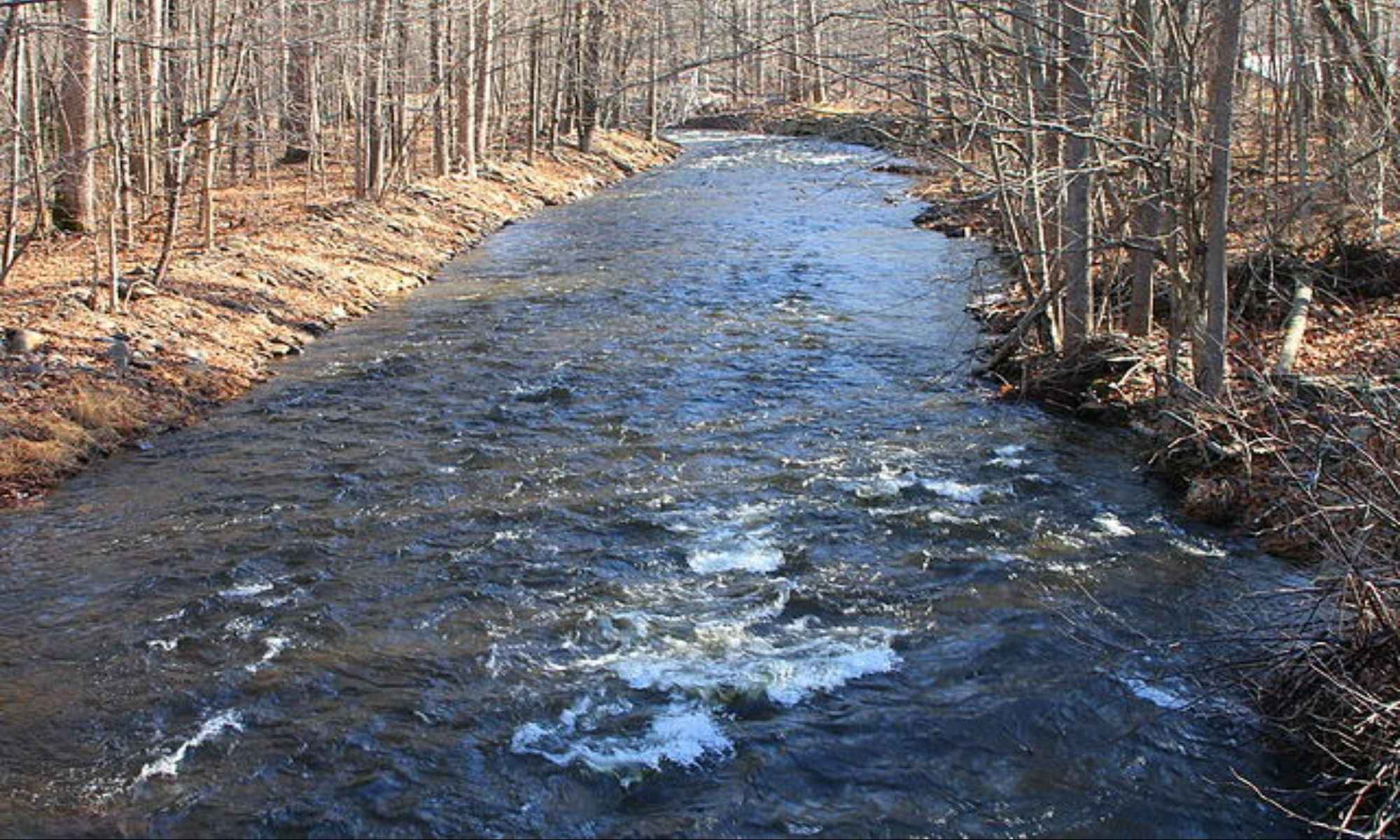 Ball, LA Fishing: Southern Small-Town Angling