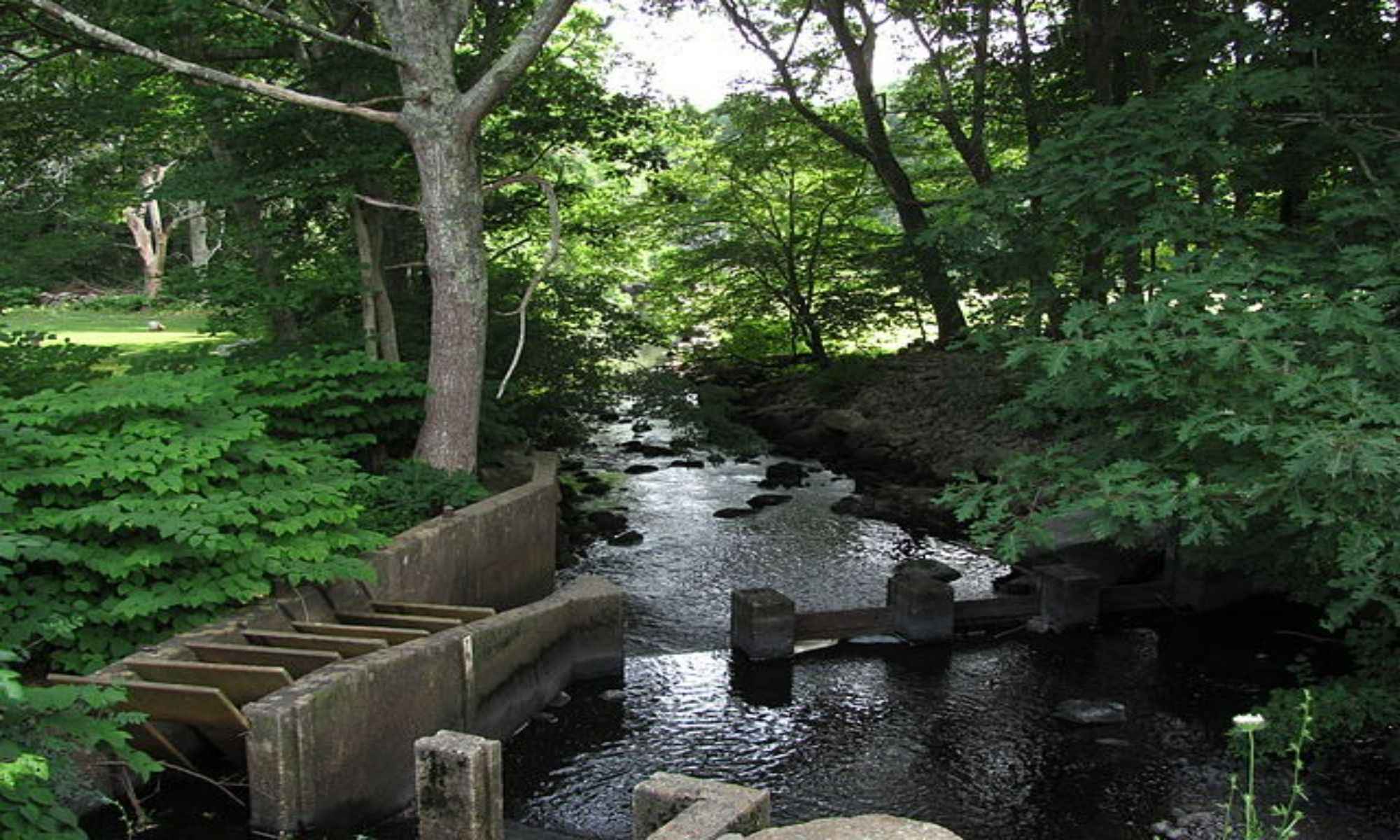 Book Your Fishing Charter in Northampton, MA