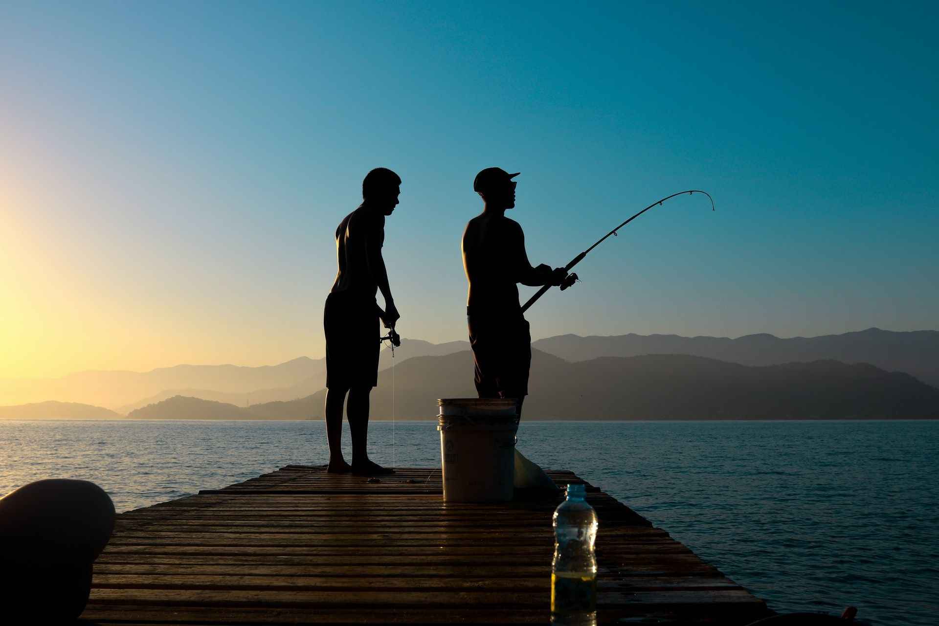 Delaware County, NY Fishing: New York’s Peaceful and Sprawling Nature Preserve