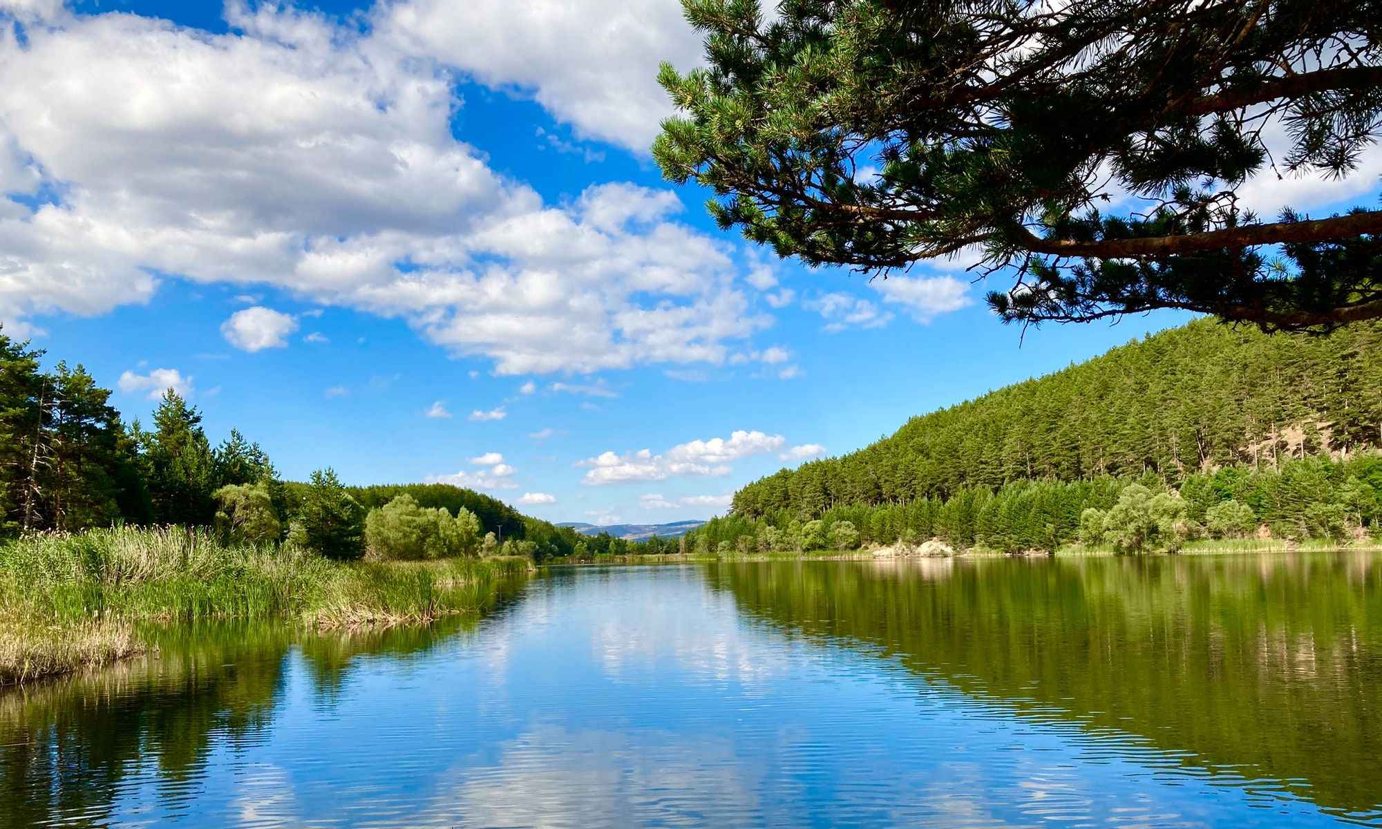 Otis, MA Fishing: Fun Productive Fishing in the Berkshire Region