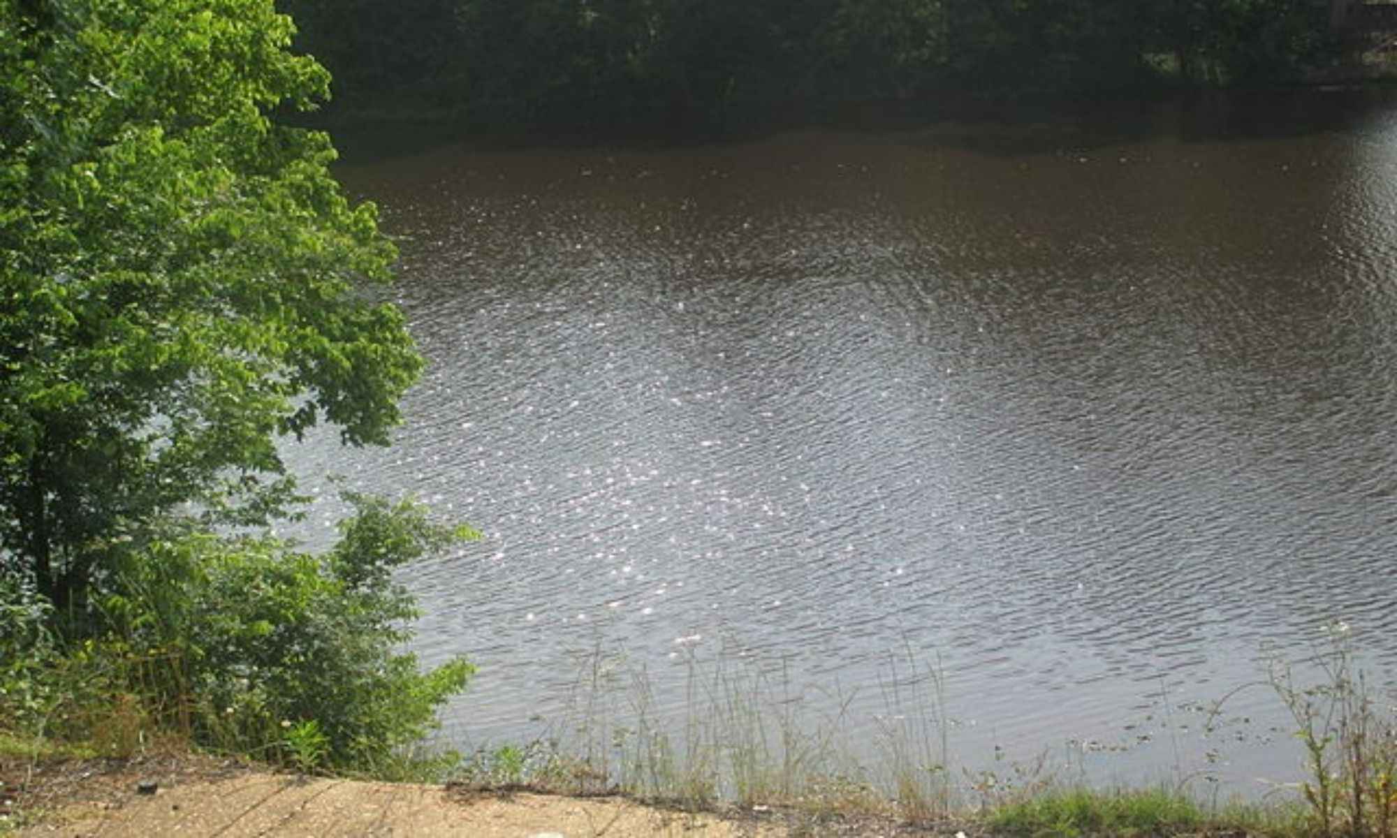 Arcadia, LA Fishing: Fishing in a Sportsman’s Paradise