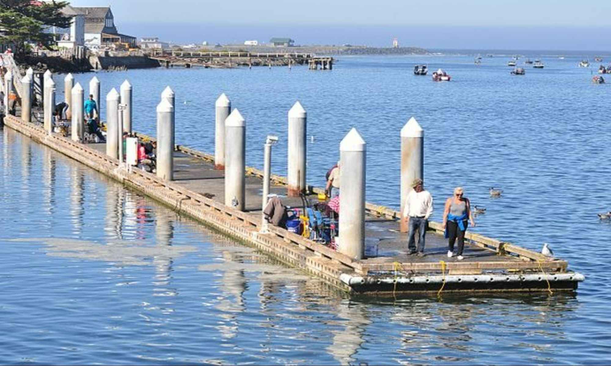 The Most Abundant Salmon You Can Catch in Oregon