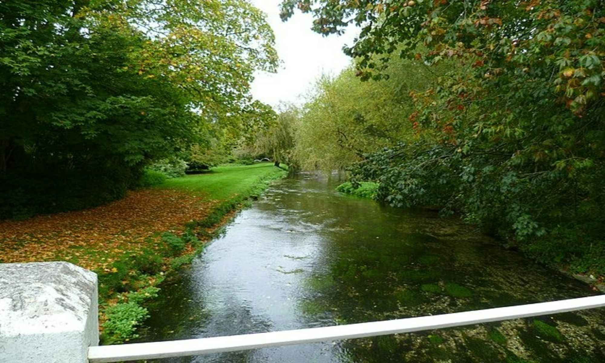 Book Your Fishing Charter to Bethune, SC