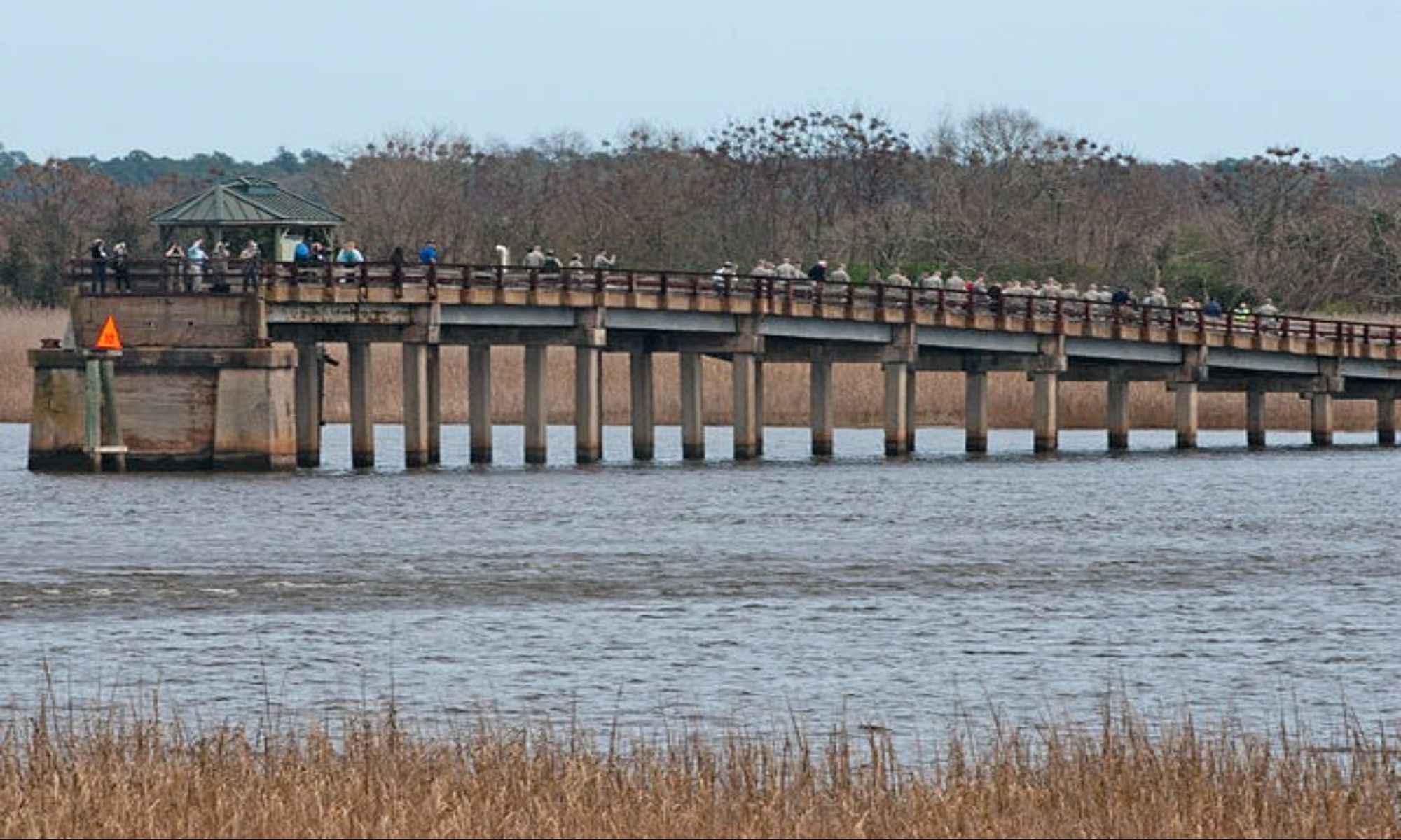 Blenheim, SC Fishing: Amazing Adjacent Small Town Fishing in South Carolina