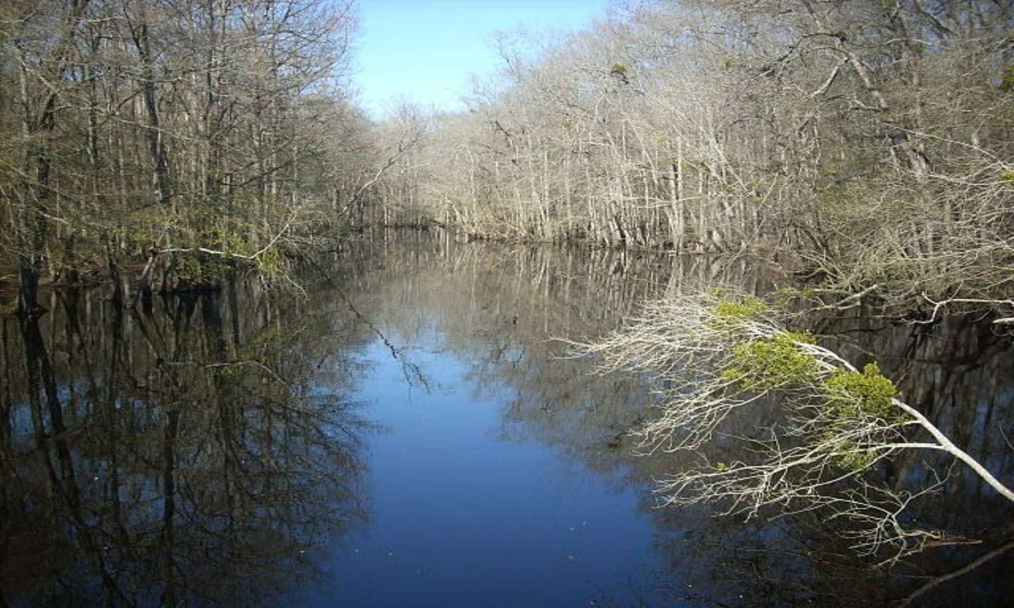 Wilmington, NC Fishing: Excellent Fishing City with a Distinct Southern Charm