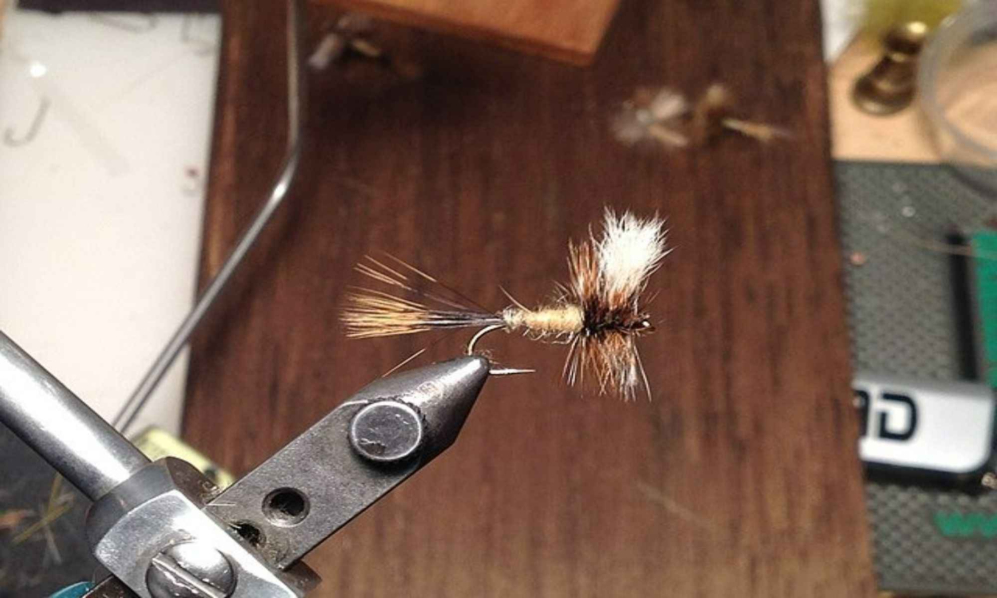 How Do You Treat Dry Flies?