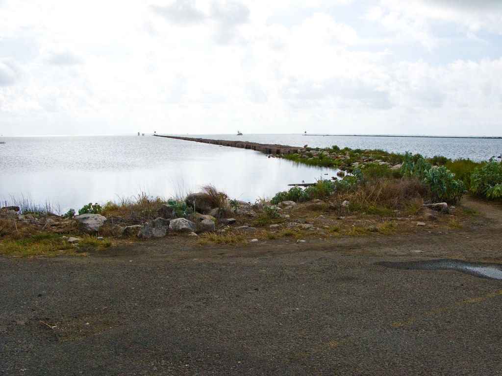 Port O’Connor, TX Fishing: The Best Kept Secret on the Gulf Coast