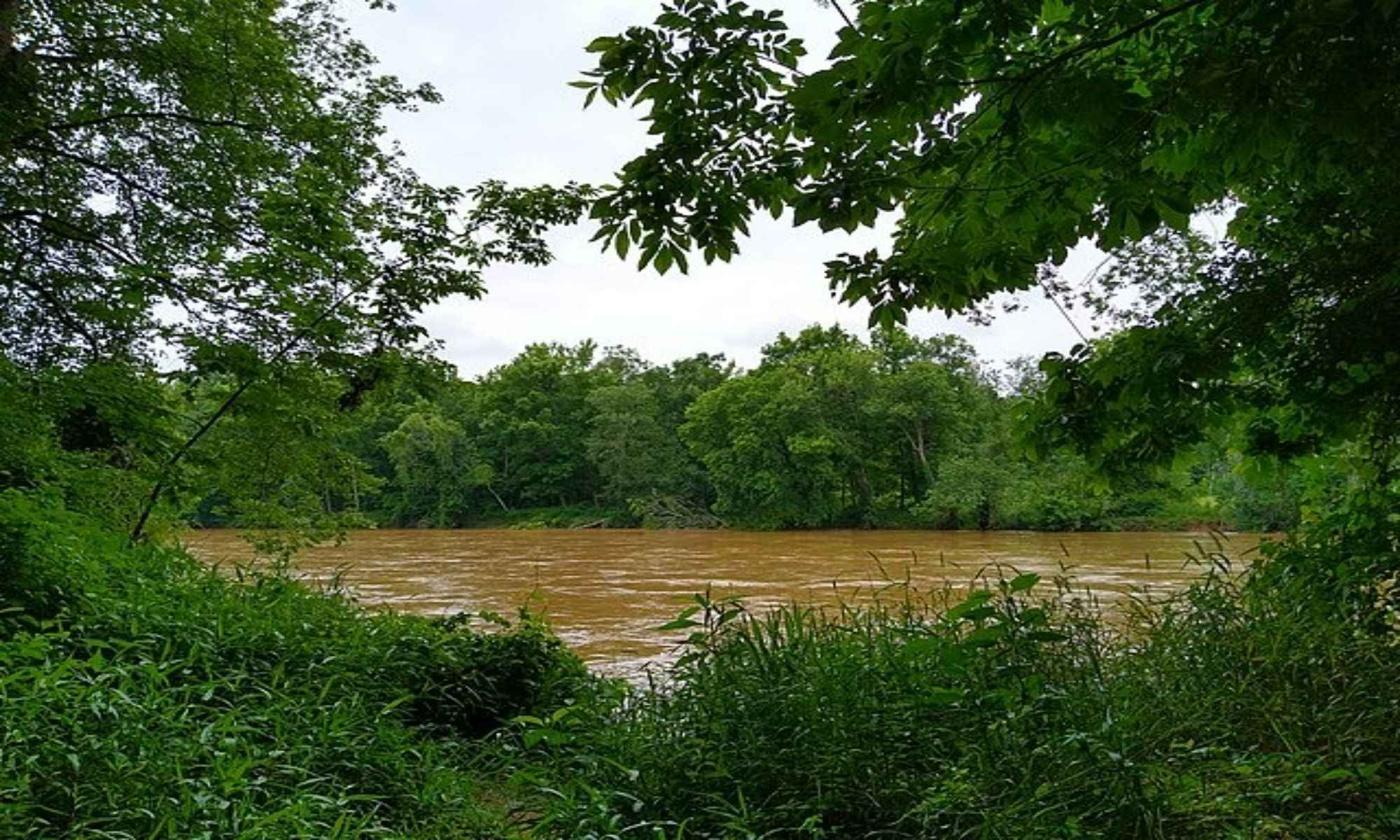 Cary, NC Fishing: A Quaint Picturesque City