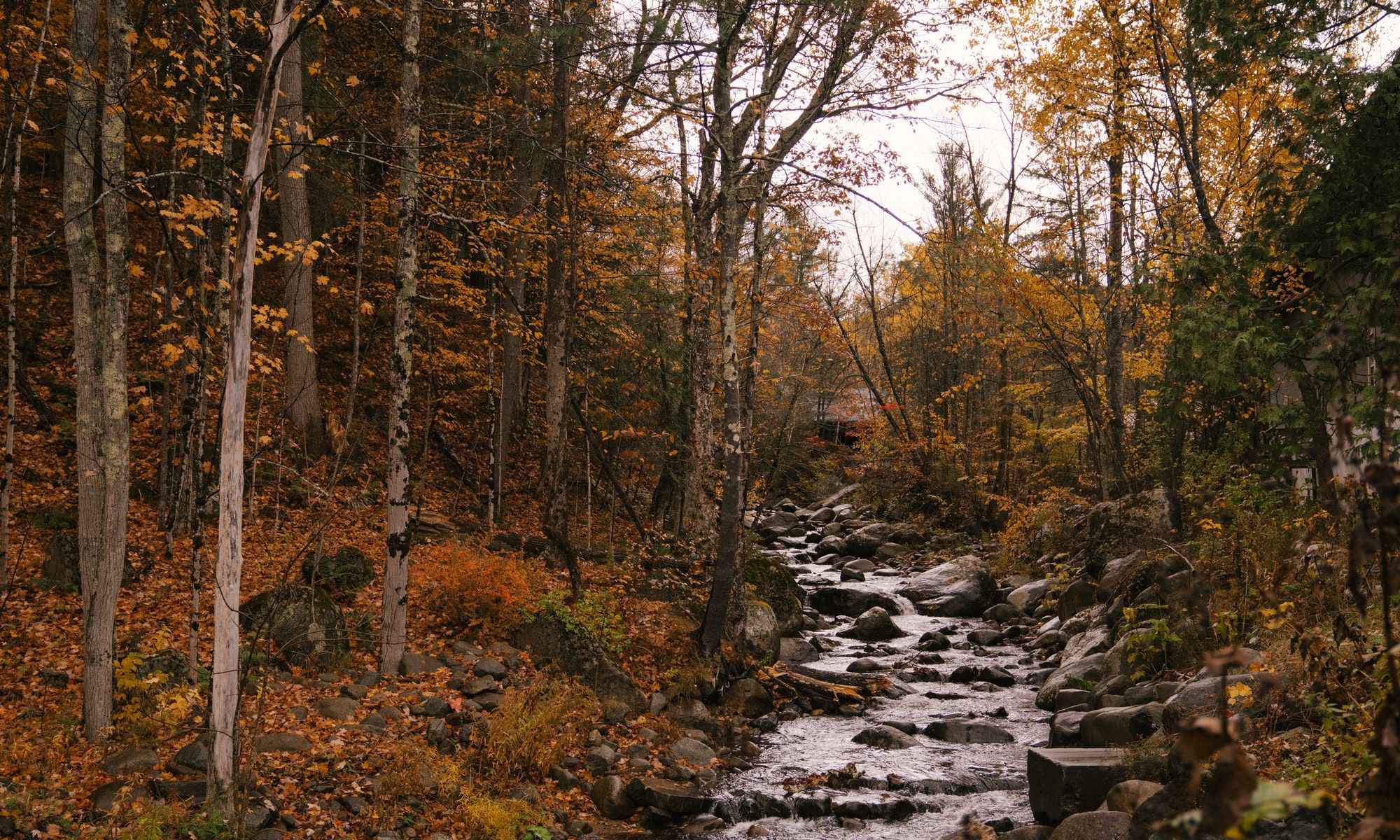 Douglas, MA Fishing: Charming Valley Fishing in New England