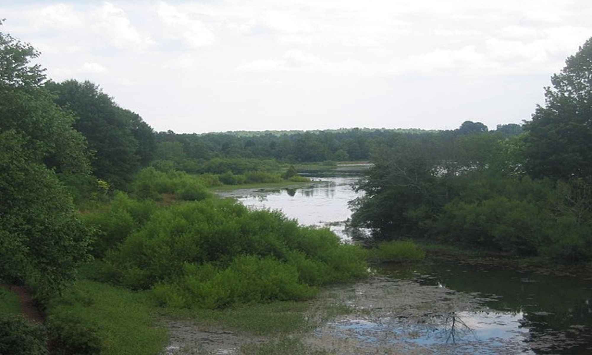 Asheboro, NC Fishing: The City in the Heart of North Carolina