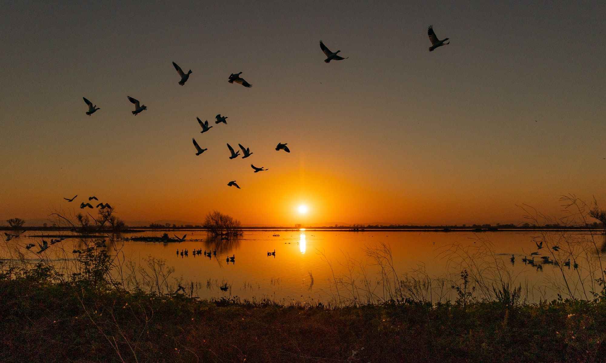 Book Your Fishing Charter in Sacramento, CA