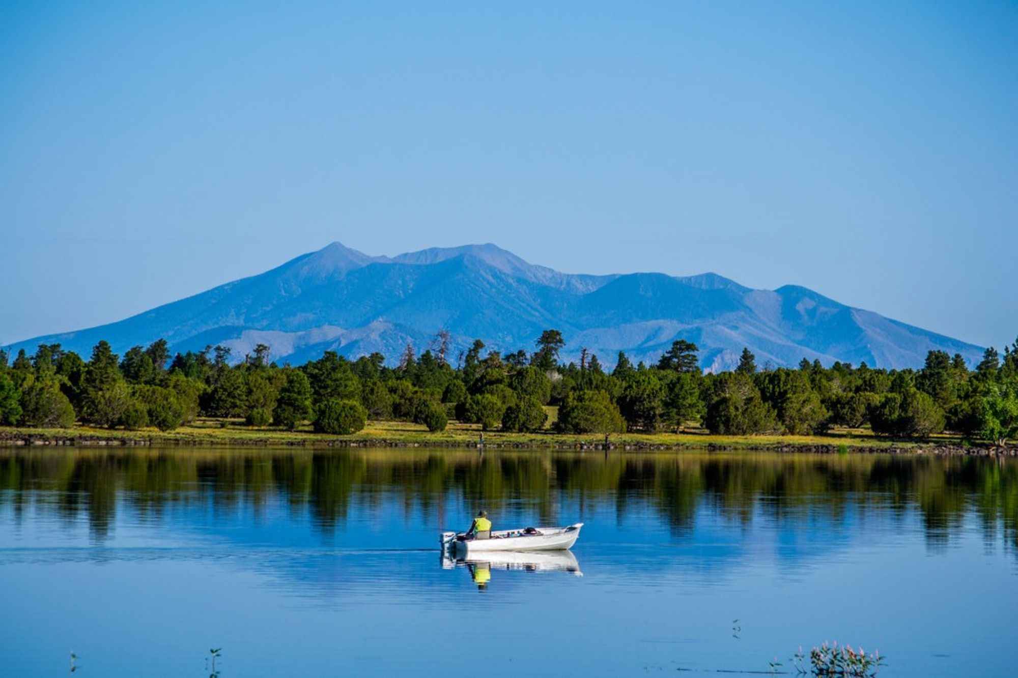 Finesse Fishing: Mastering Finesse Bass Fishing Techniques