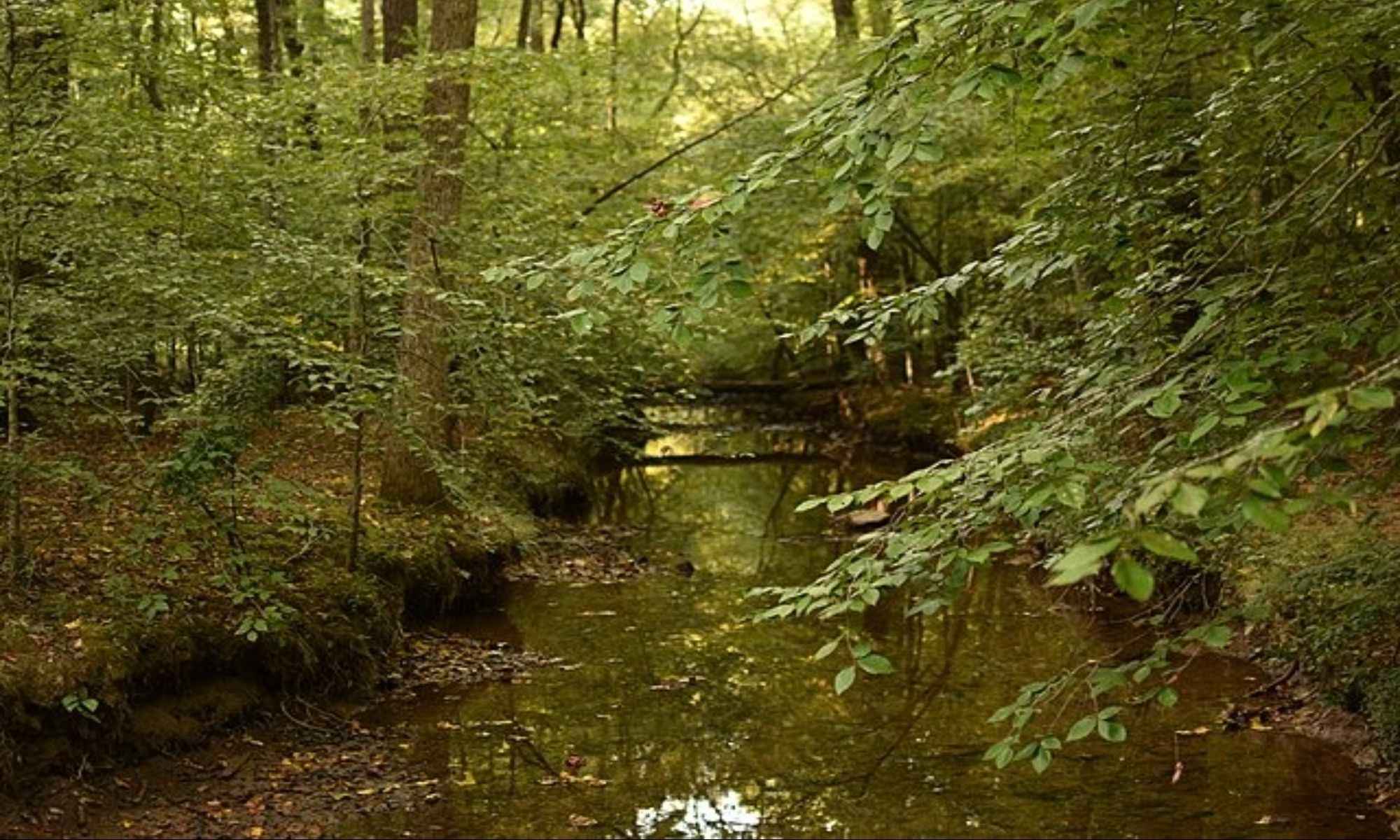 Carrboro, NC Fishing: Town Filled With Wonderful Arts And Crafts