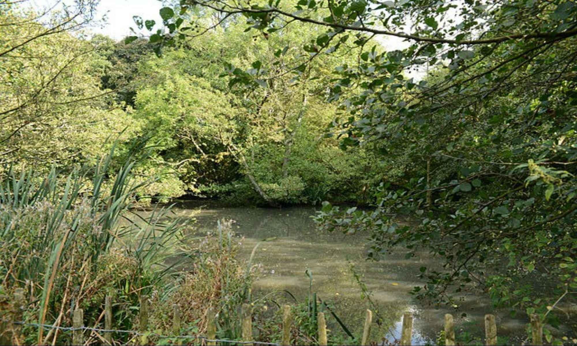 Attalla, AL Fishing: Angling in the Mountain Village