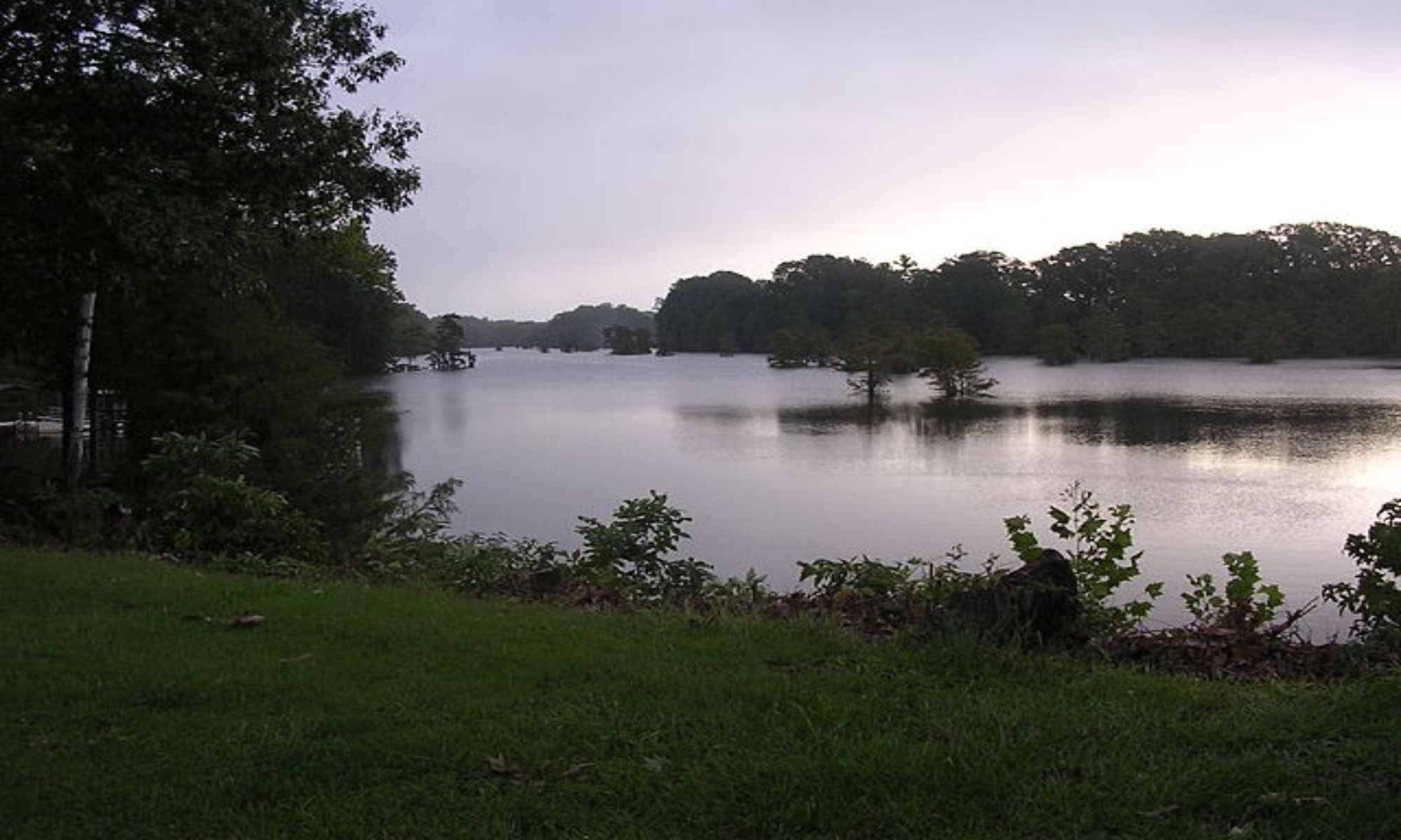 Book Your Fishing Charter in Collinston, LA