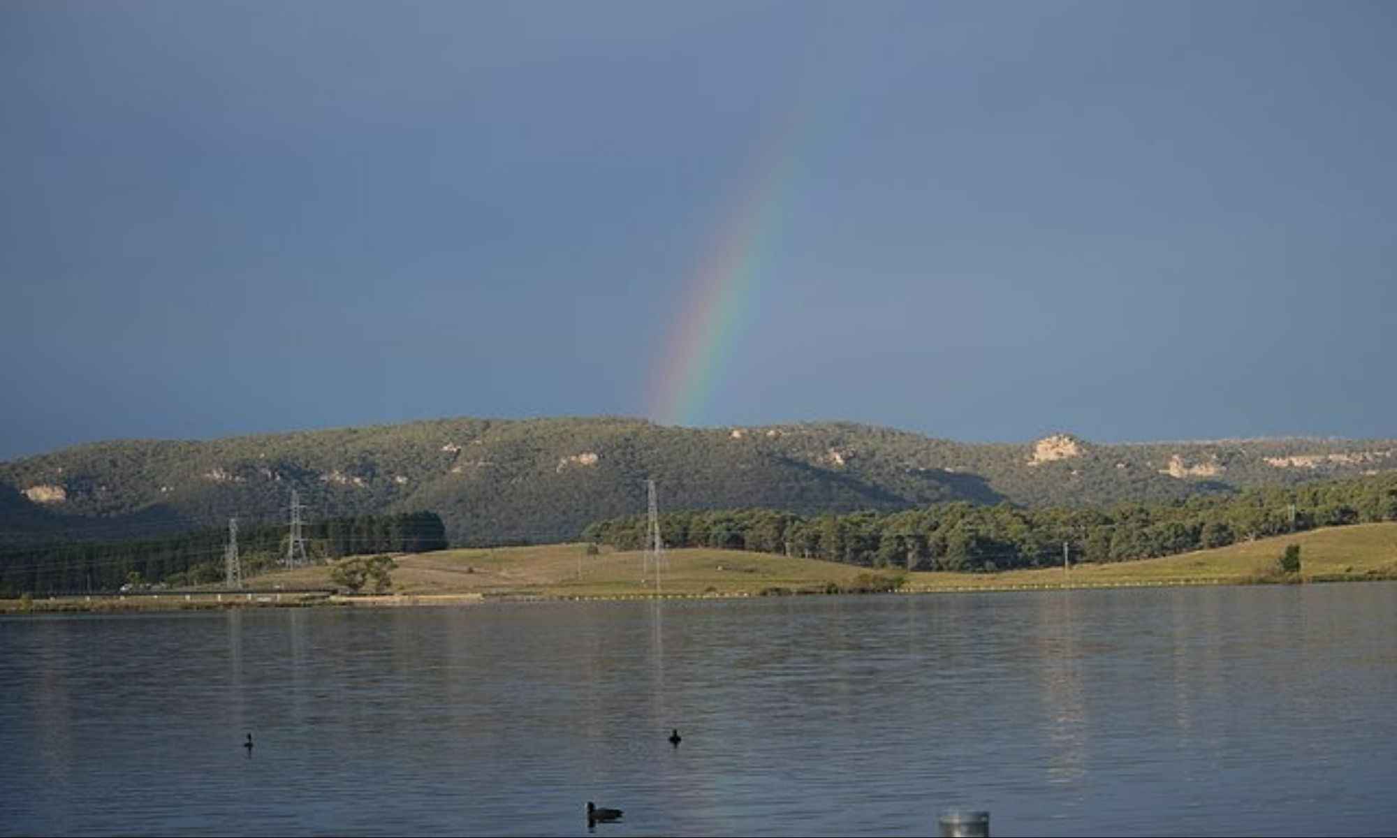 Book Your Fishing Charter in Blenheim, SC