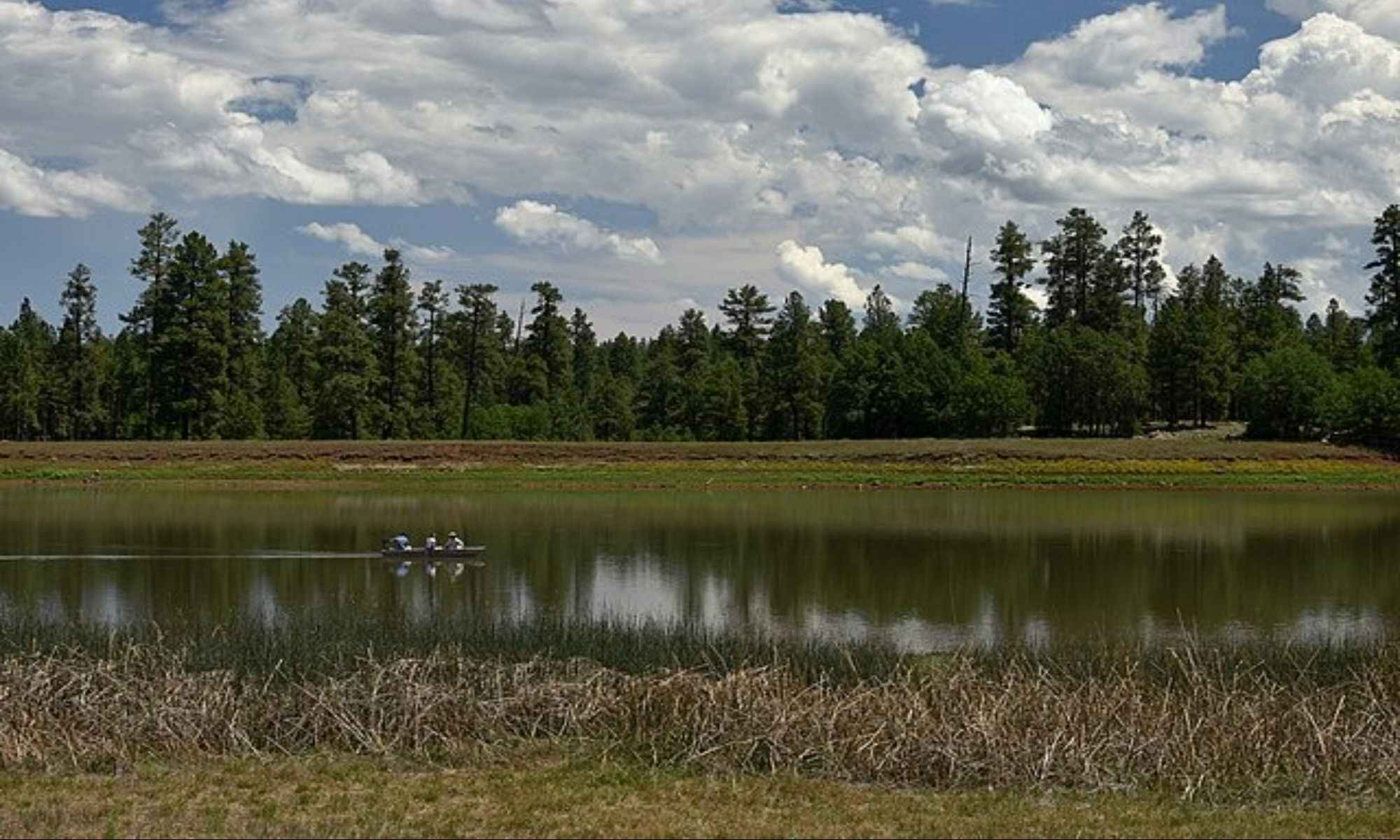 Billingsley, AL Fishing: A Fishing Haven In Central Alabama