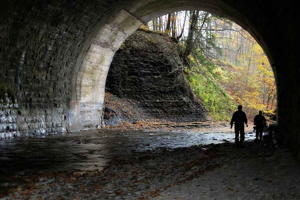 12 Best Steelhead Runs in New York