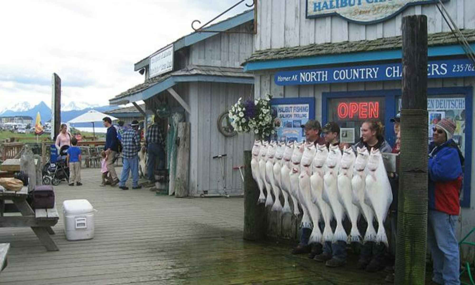 Fishing Charter Business: Profitable Or Not