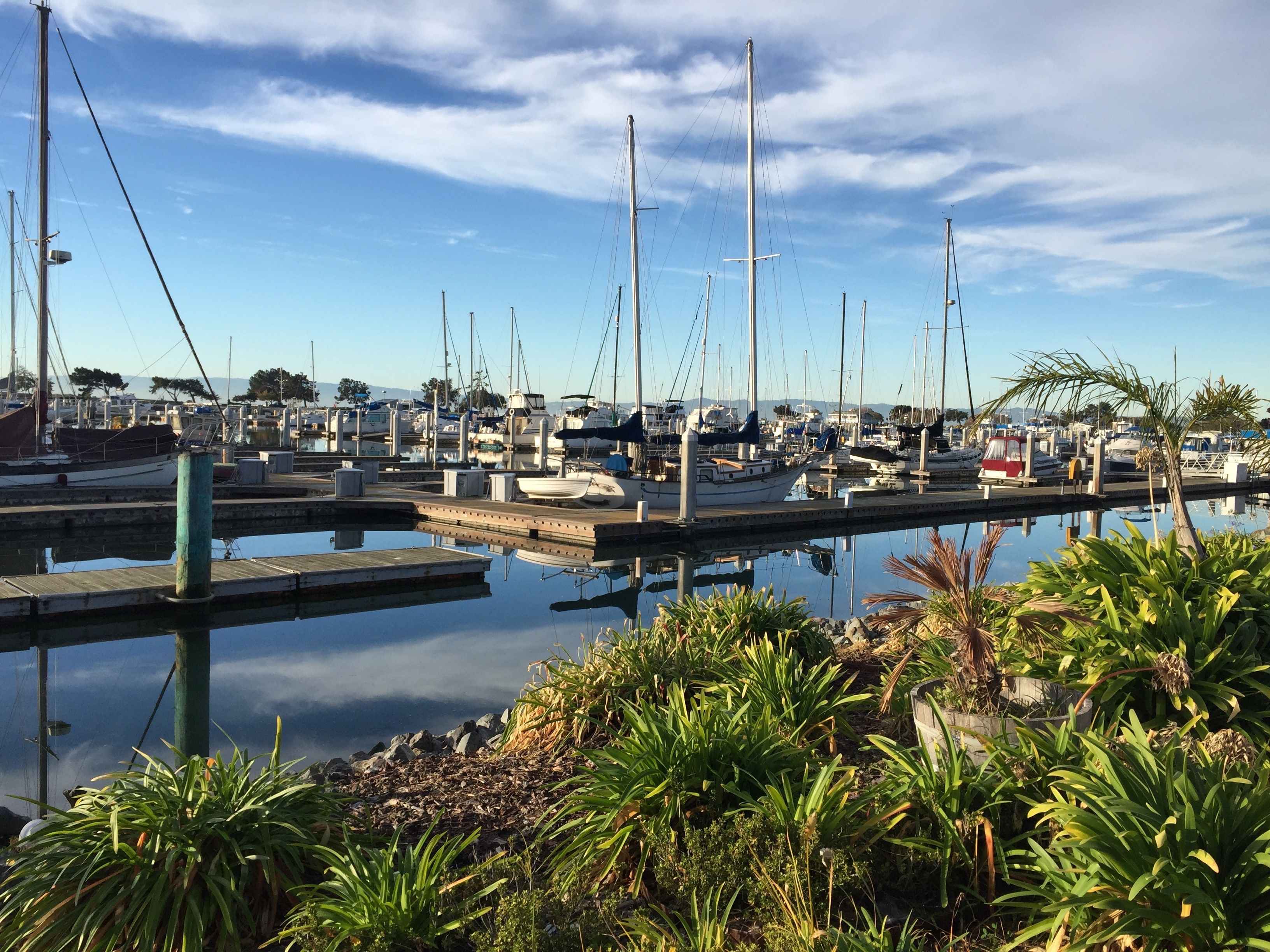 San Leandro, CA Fishing: An Angler's Paradise 