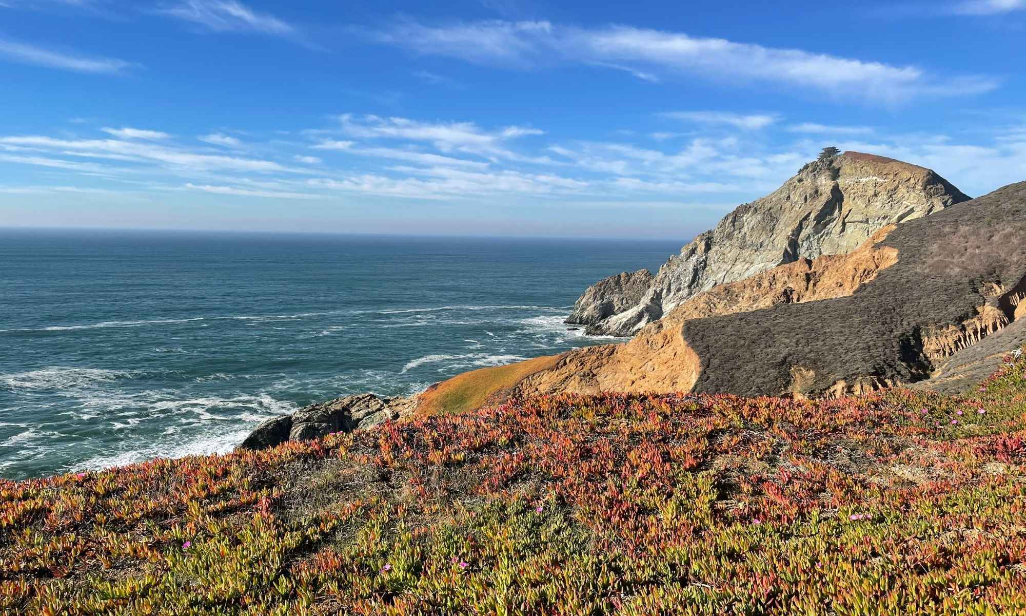 Book Your Fishing Charter in Pacifica, CA