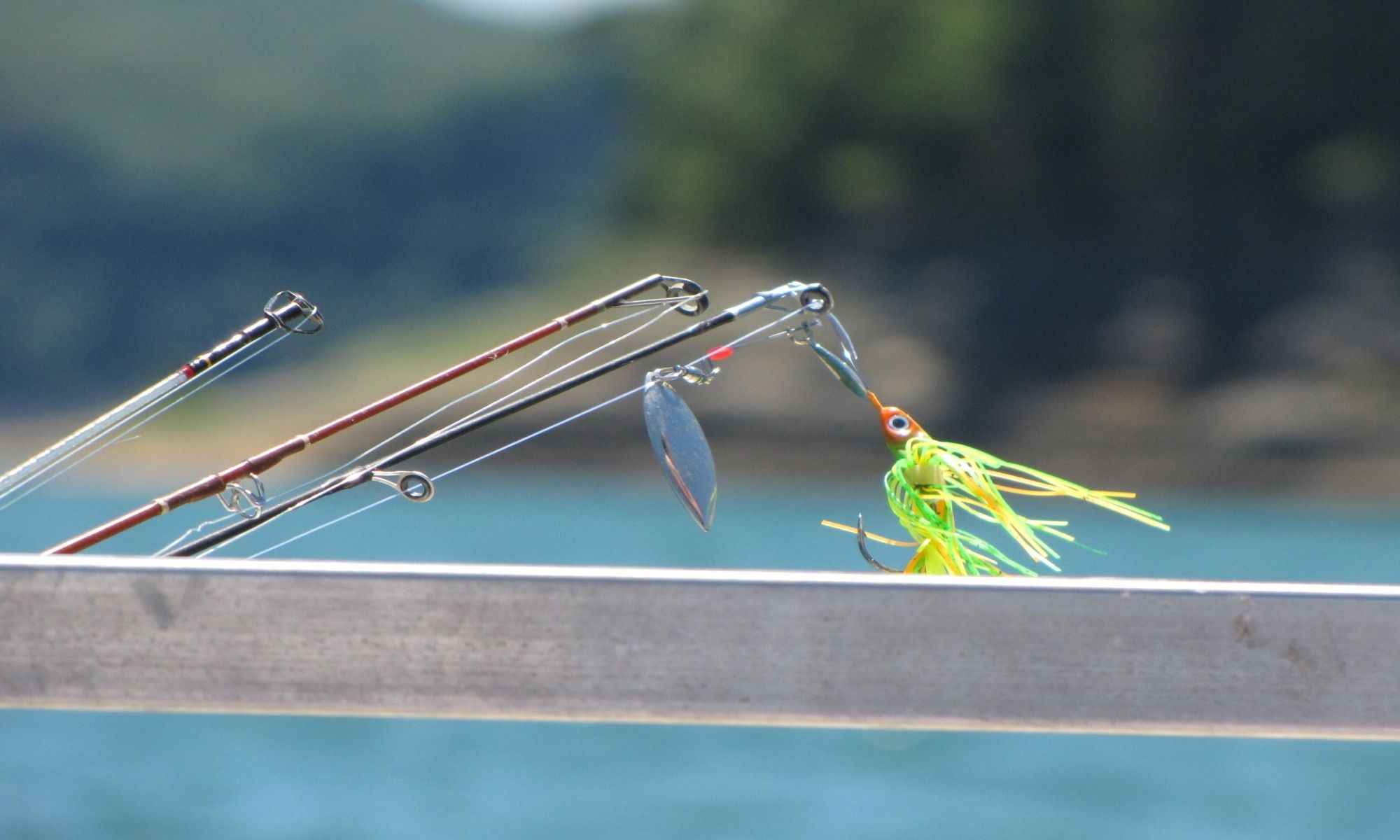 Master These 5 Jigging Retrieves