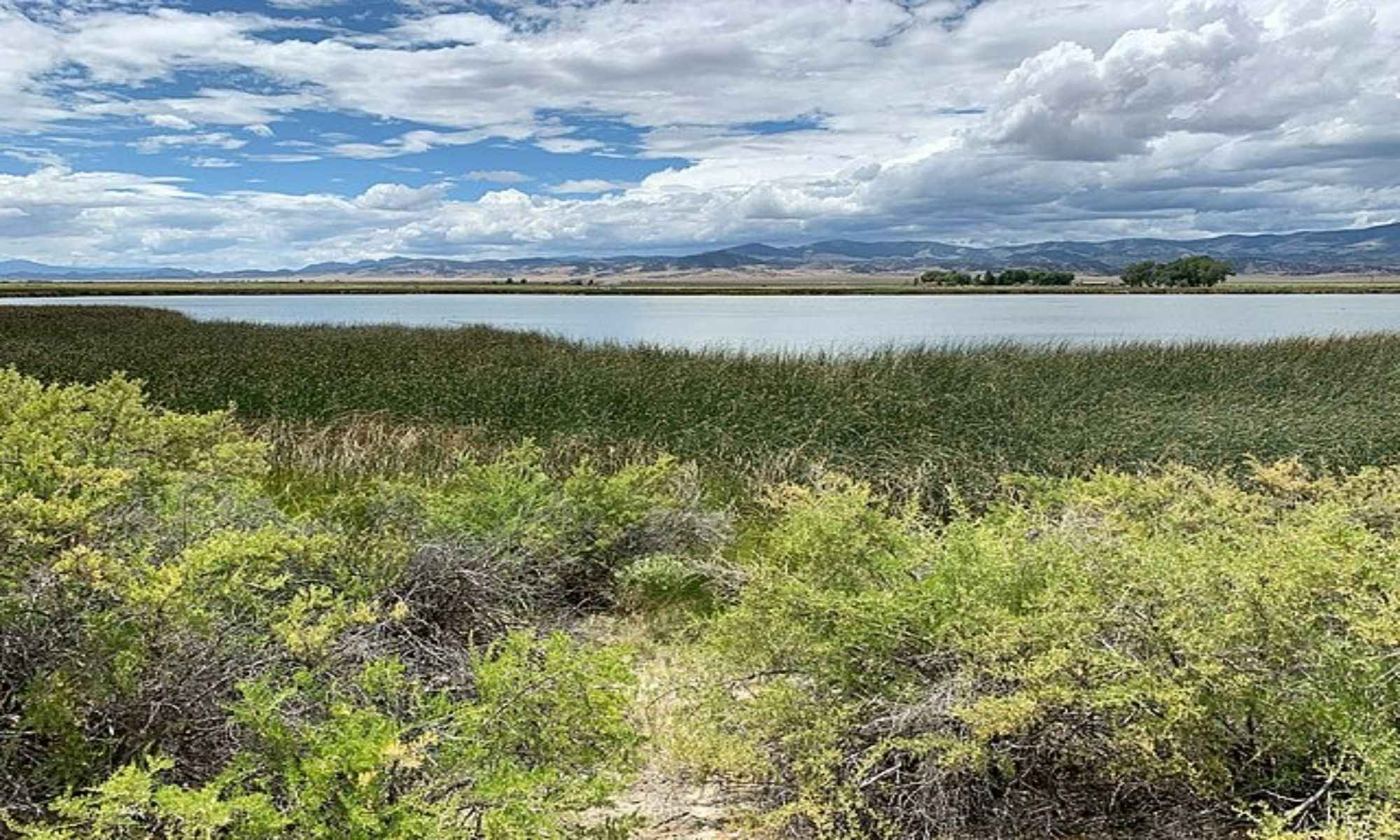 Calhoun Falls, SC Fishing: Experience Exceptional Angling in the Mill Village