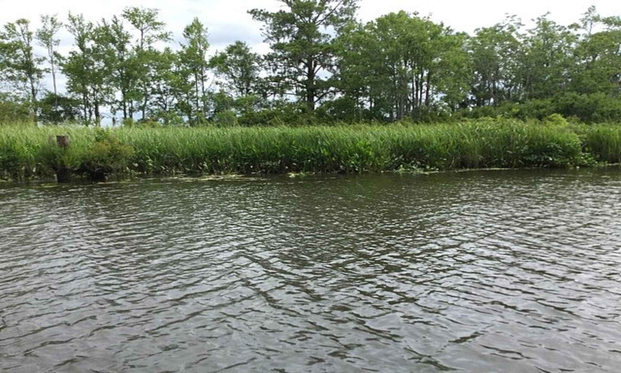 Book Your Fishing Charter in Conway, SC