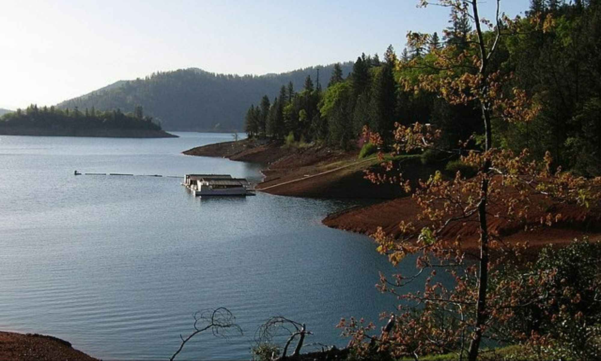 Shasta Lake, CA Fishing: Expansive Reservoir Fishing in California