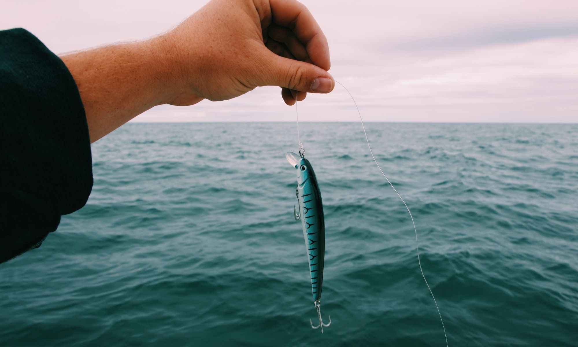 Best Swimbait to Catch Bass