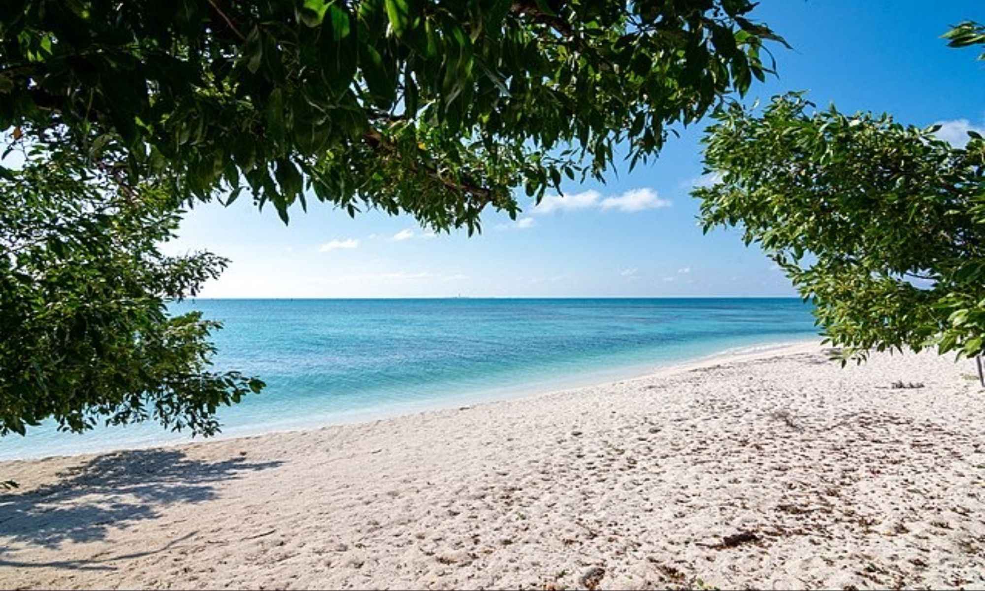 Saltwater Fishing: What You Need To Know