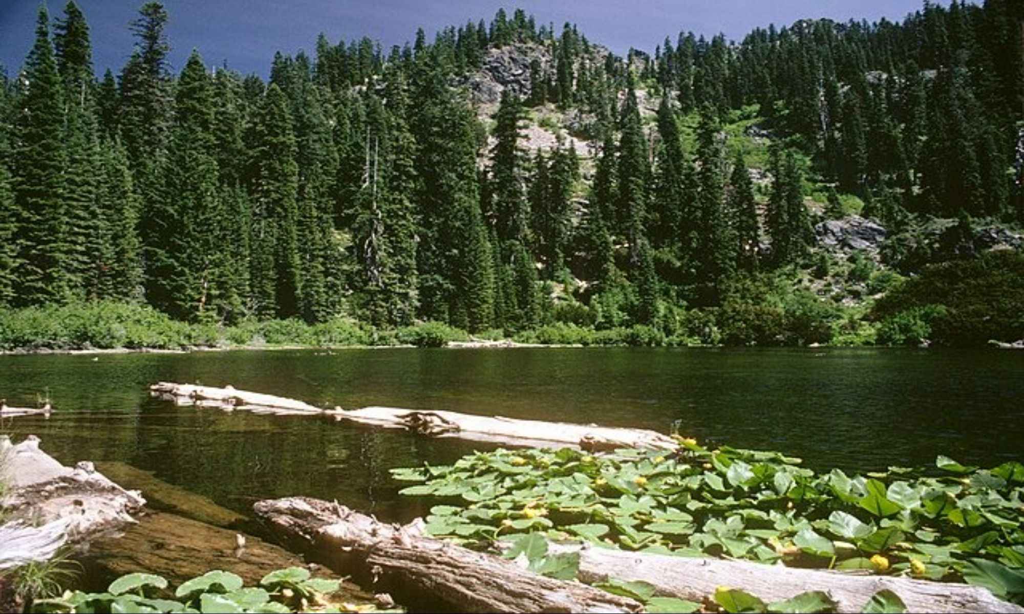 Bunkie, LA Fishing: Angling On The Best Spot Top Side Of Green Earth