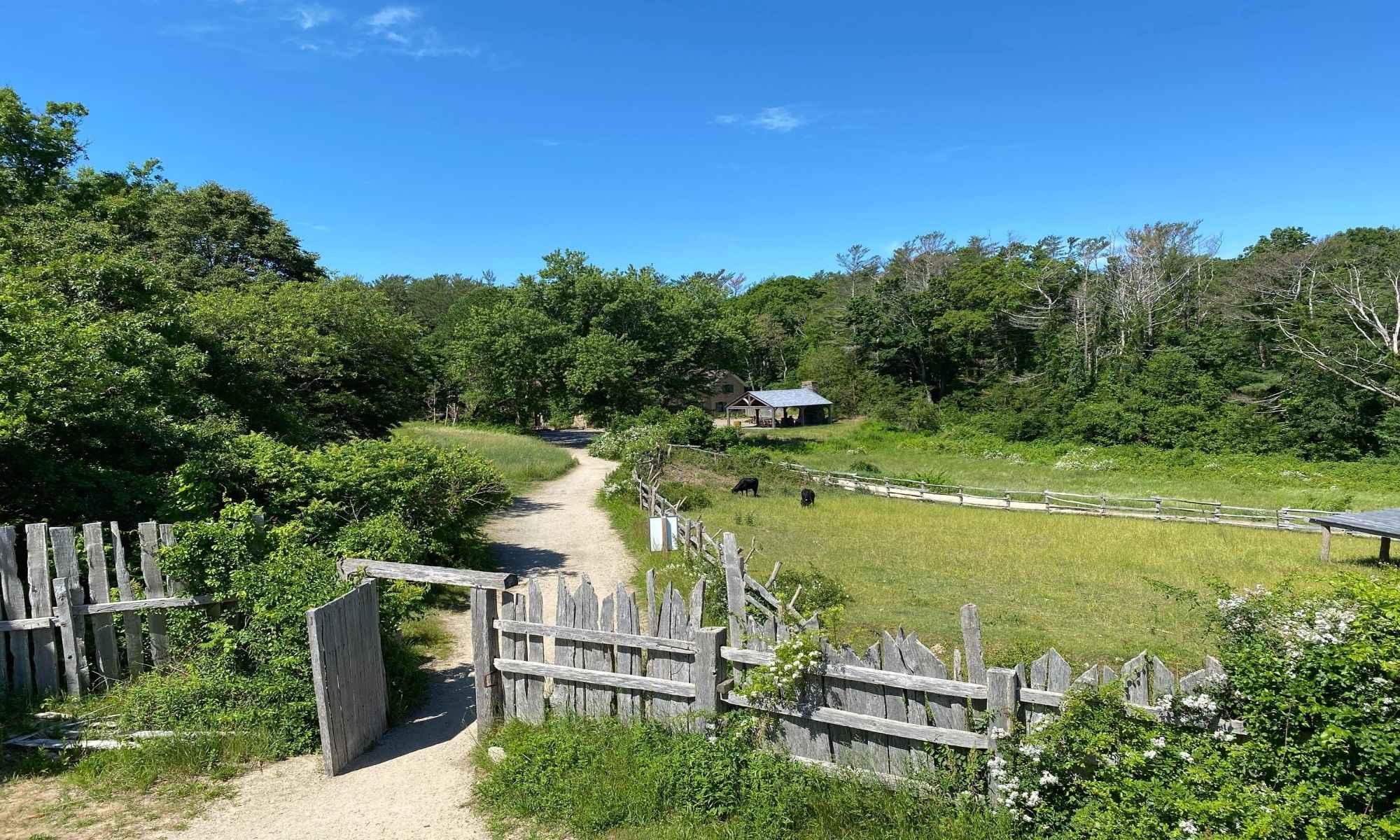 Book Your Fishing Charter in Plymouth, MA