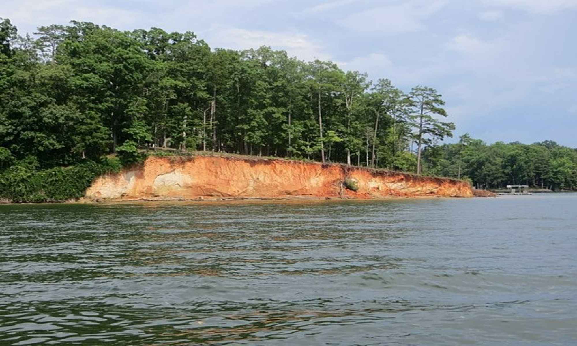 Book Your Fishing Charter in Allendale, SC