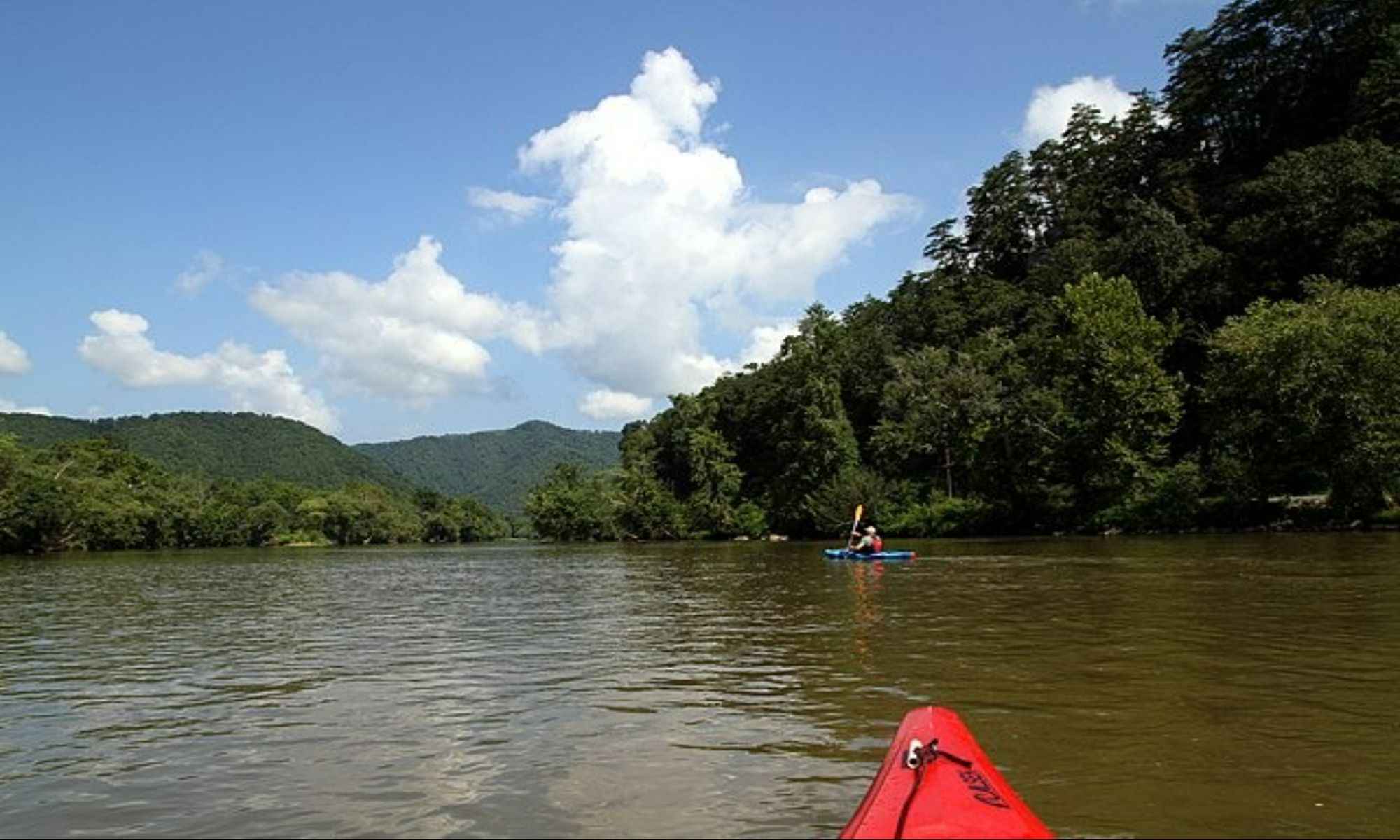 Book Your Fishing Charter In Newport, NC