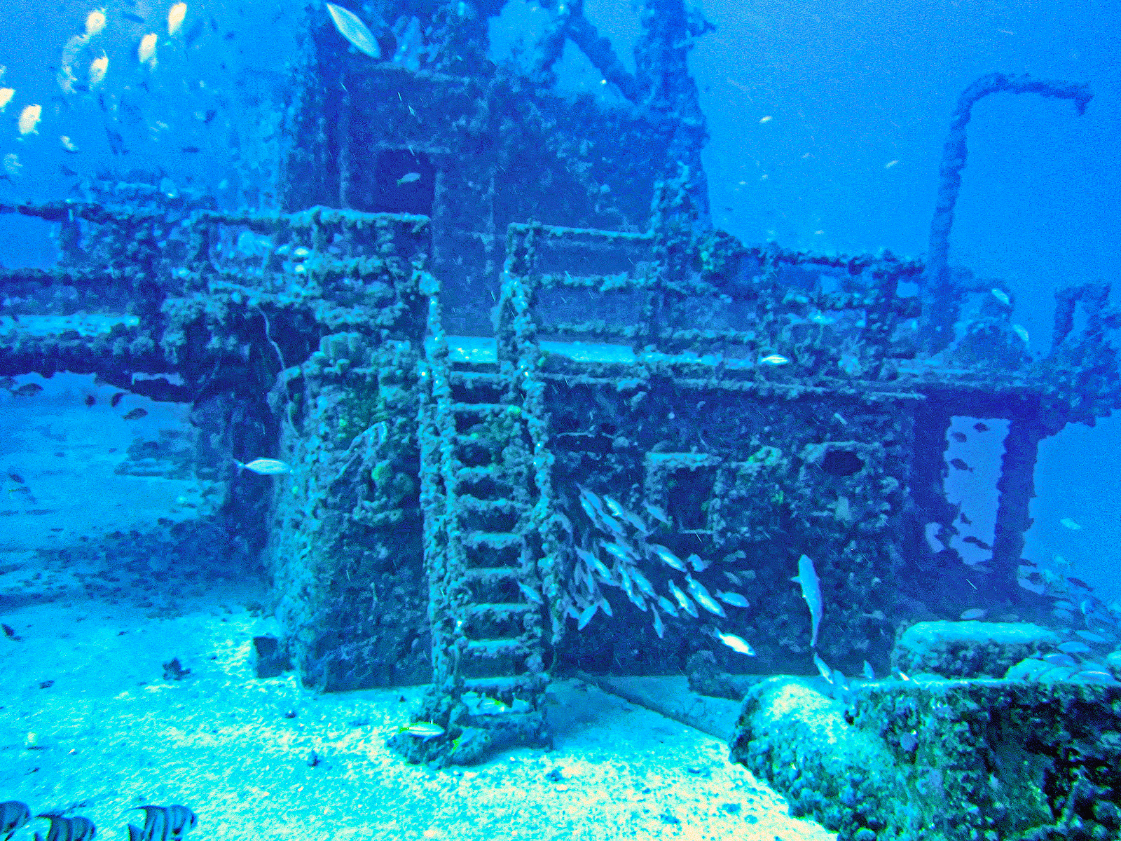 Fishing and Outdoor Adventures in Key Largo