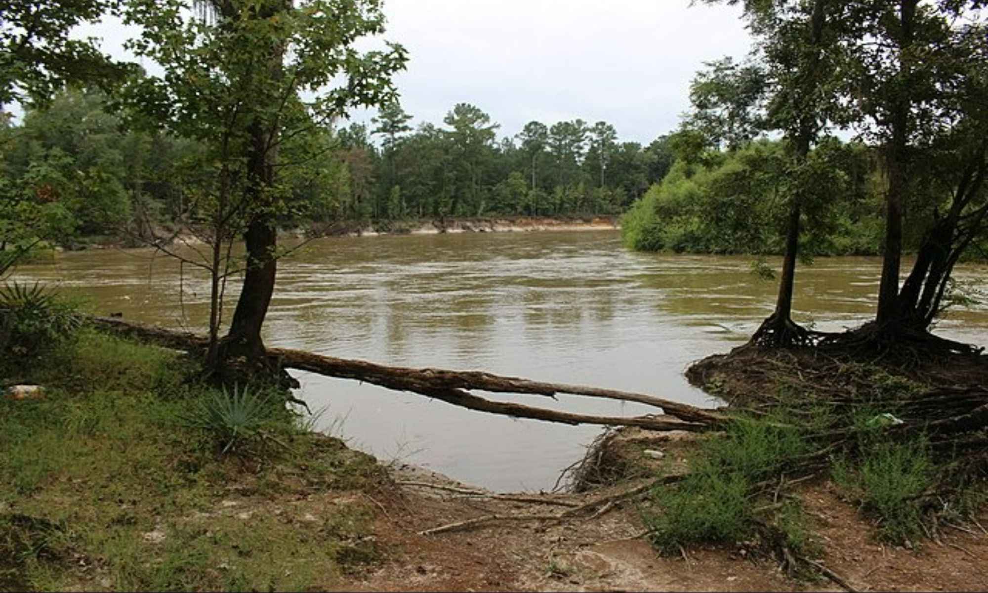 Book Your Fishing Charter in Alston, GA