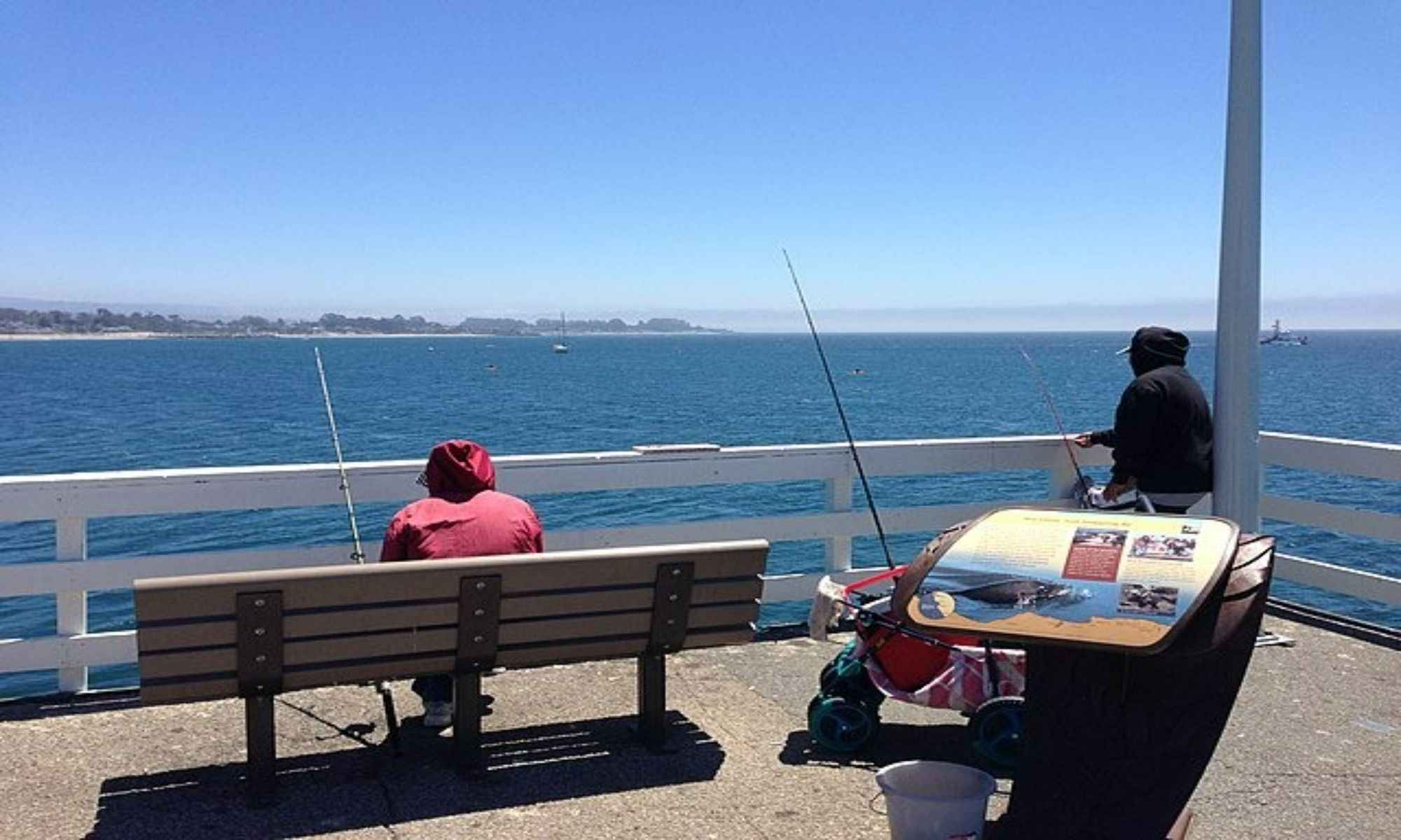 How Do Anglers Help To Protect the Environment