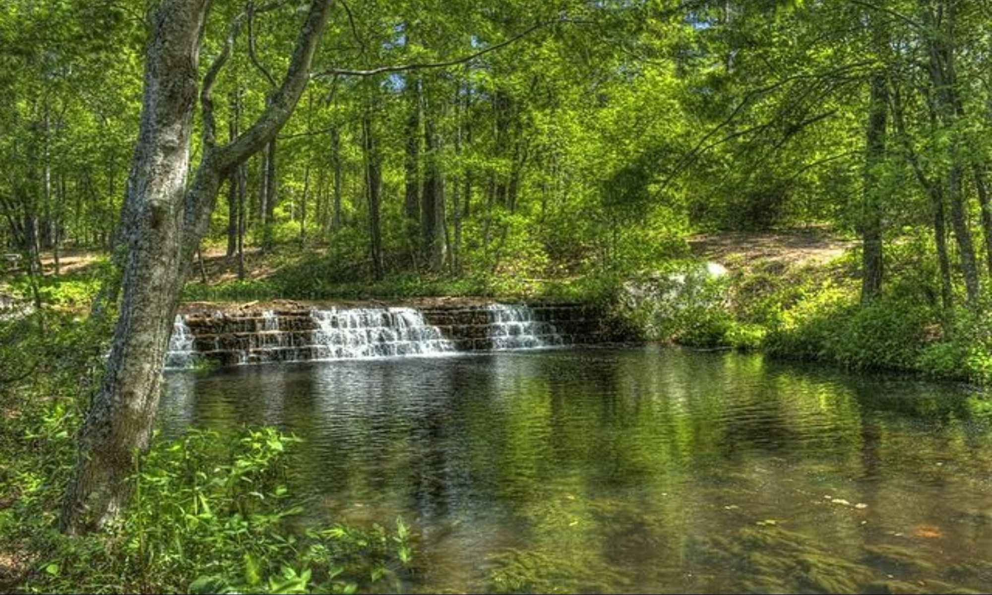Book Your Fishing Charter in Camden, SC