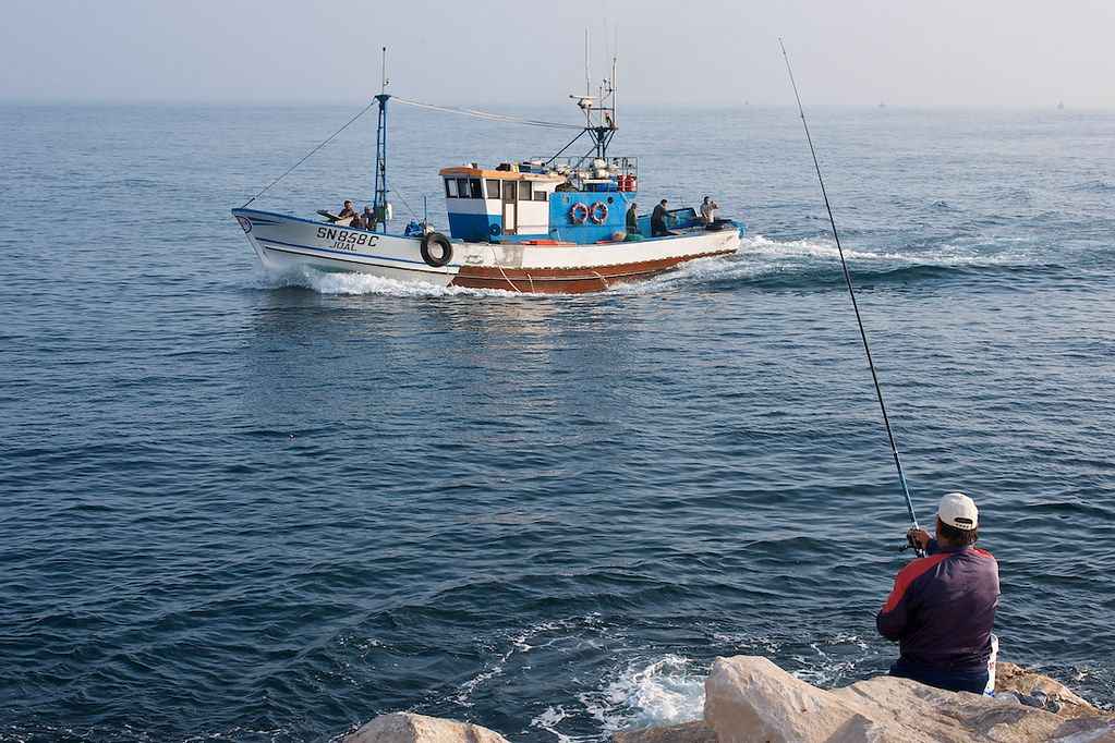 Fishing Techniques You Need To Know