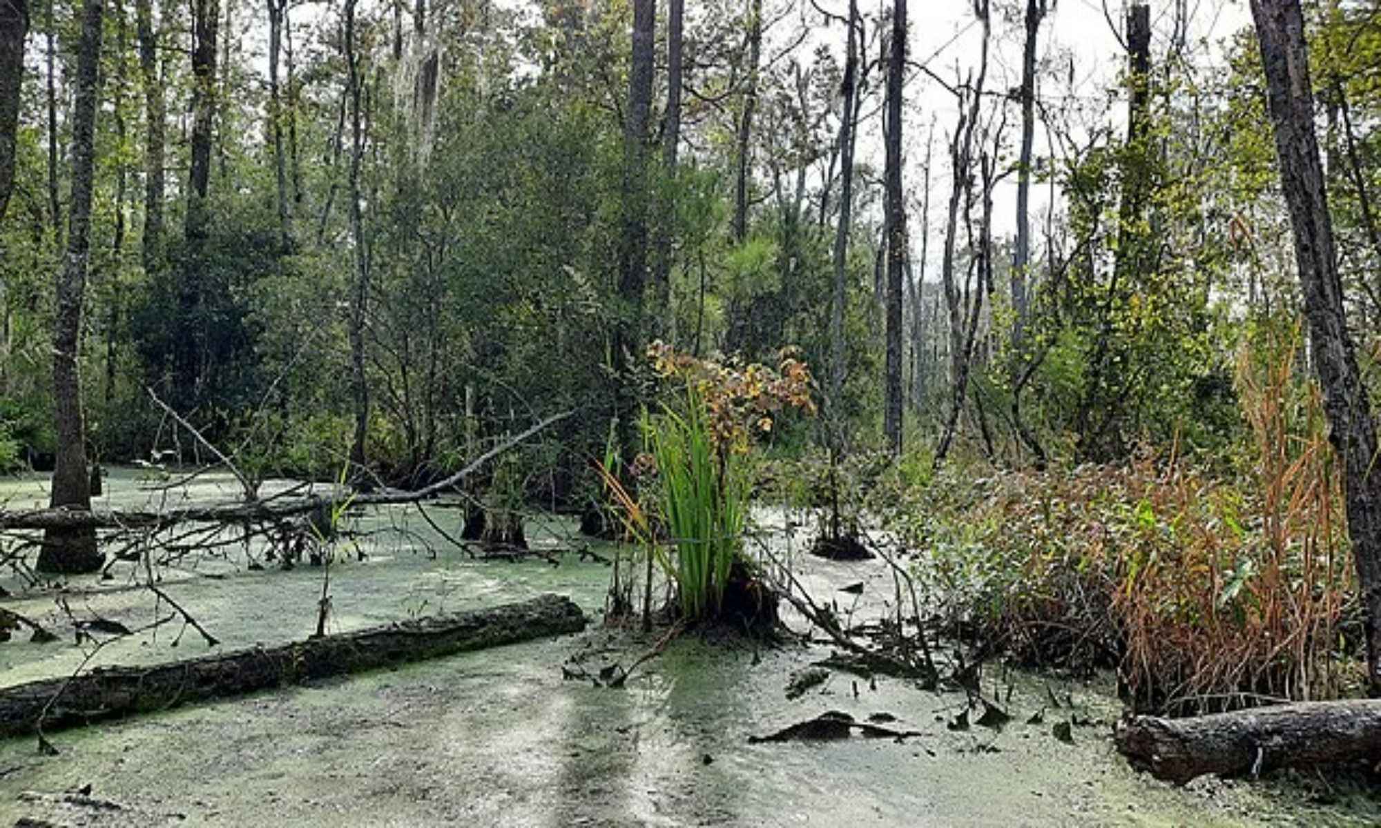 Book Your Fishing Charter in Burlington, NC