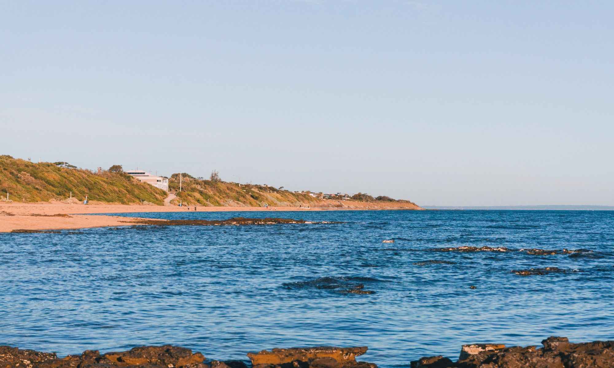 Book Your Fishing Charter in Falmouth, MA