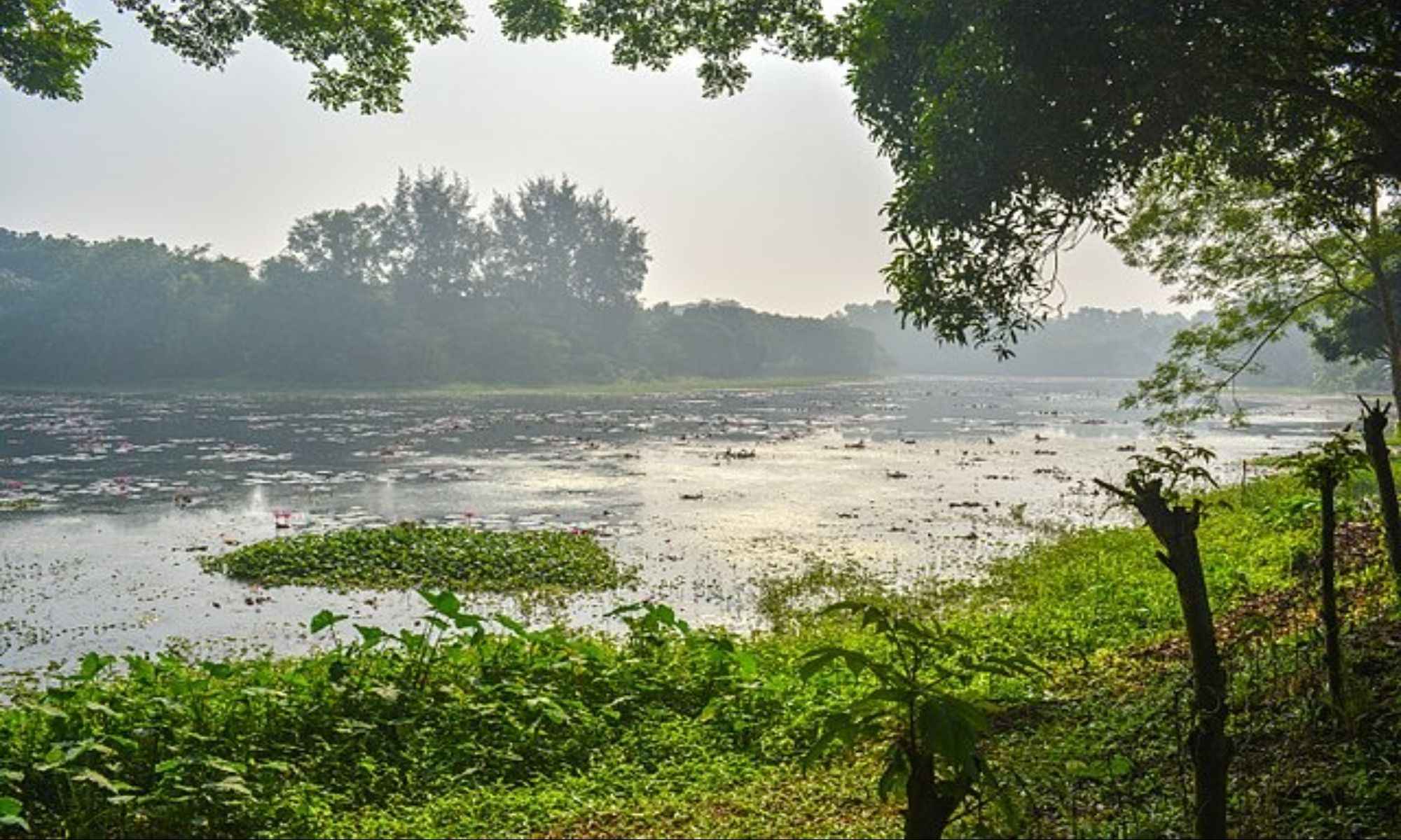 Book Your Fishing Charter in Brusly, LA