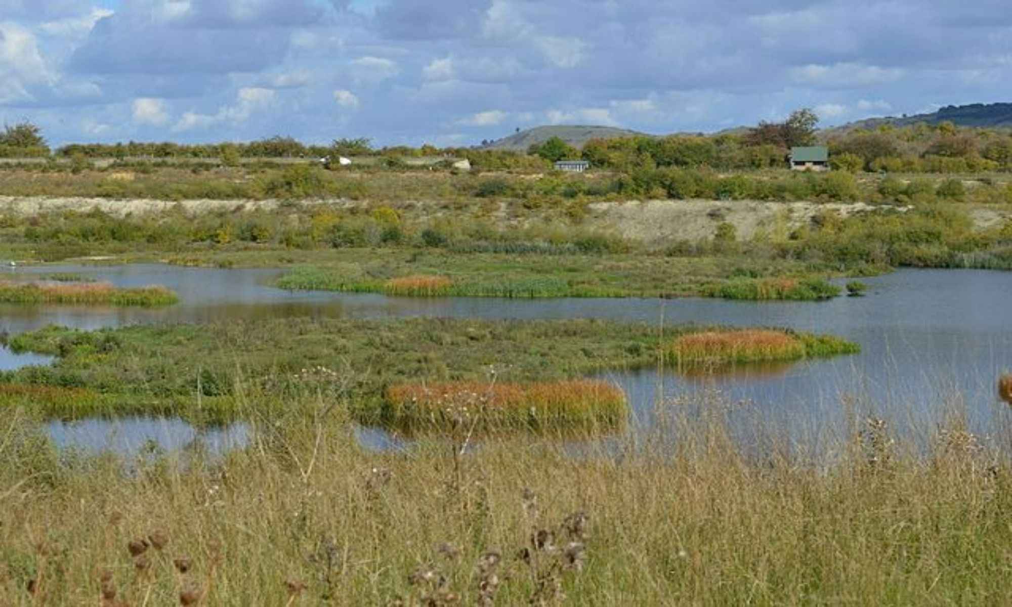 Baton Rouge, LA Fishing: Fishing Adventure in the Capital