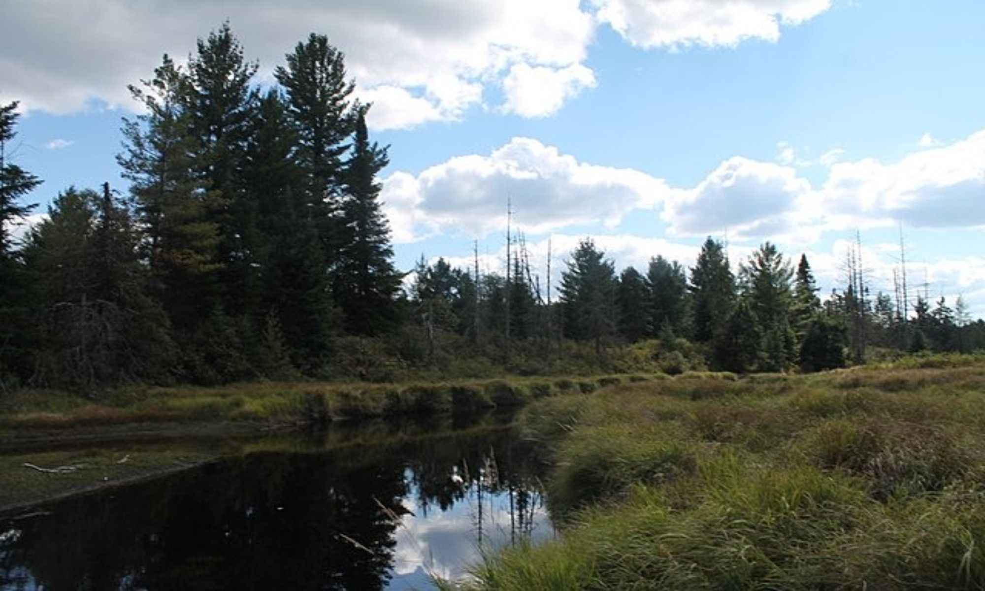 Book Your Fishing Charter in Central, LA