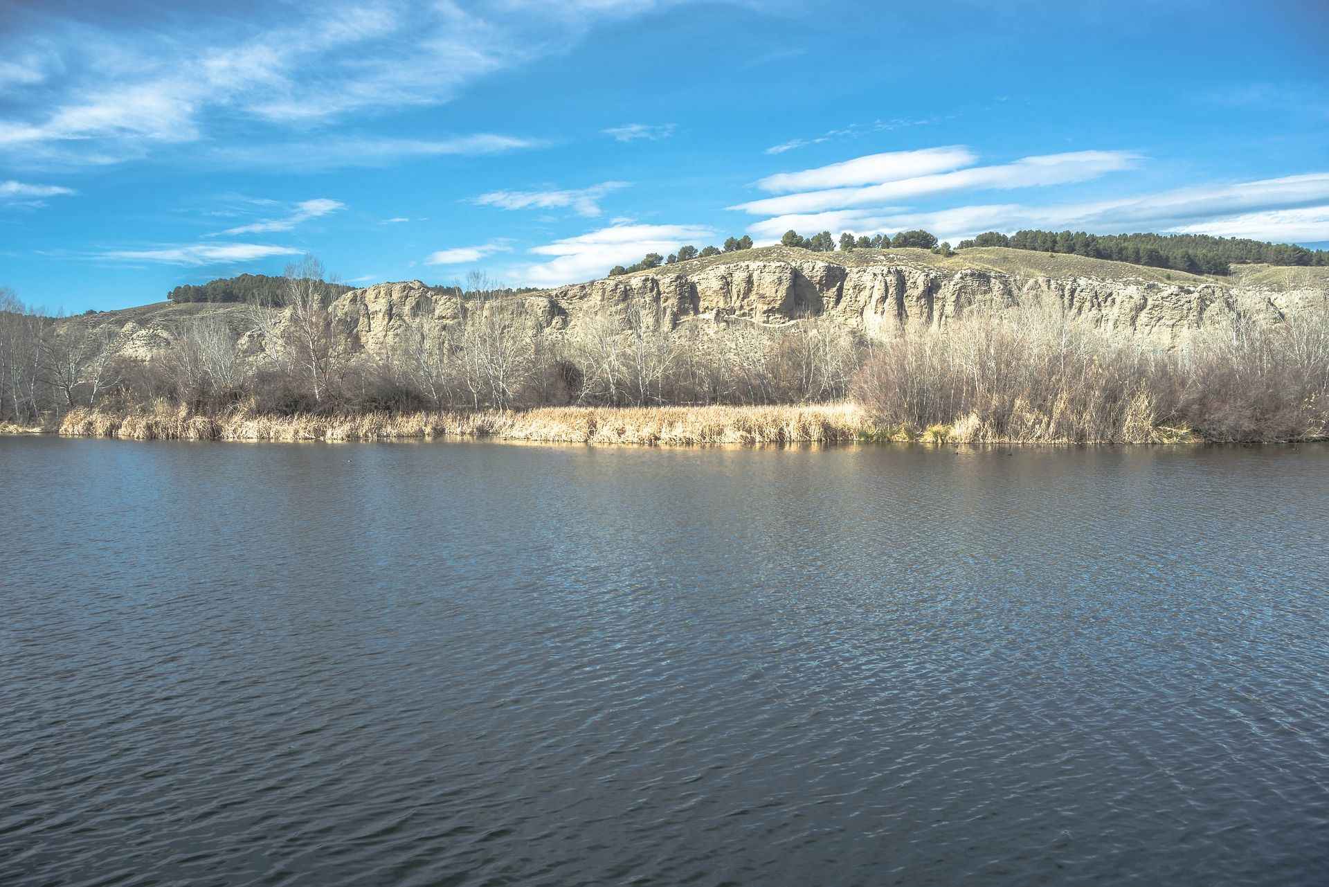 Fishing from a Hole-in-The Wall: Arroyo City, TX