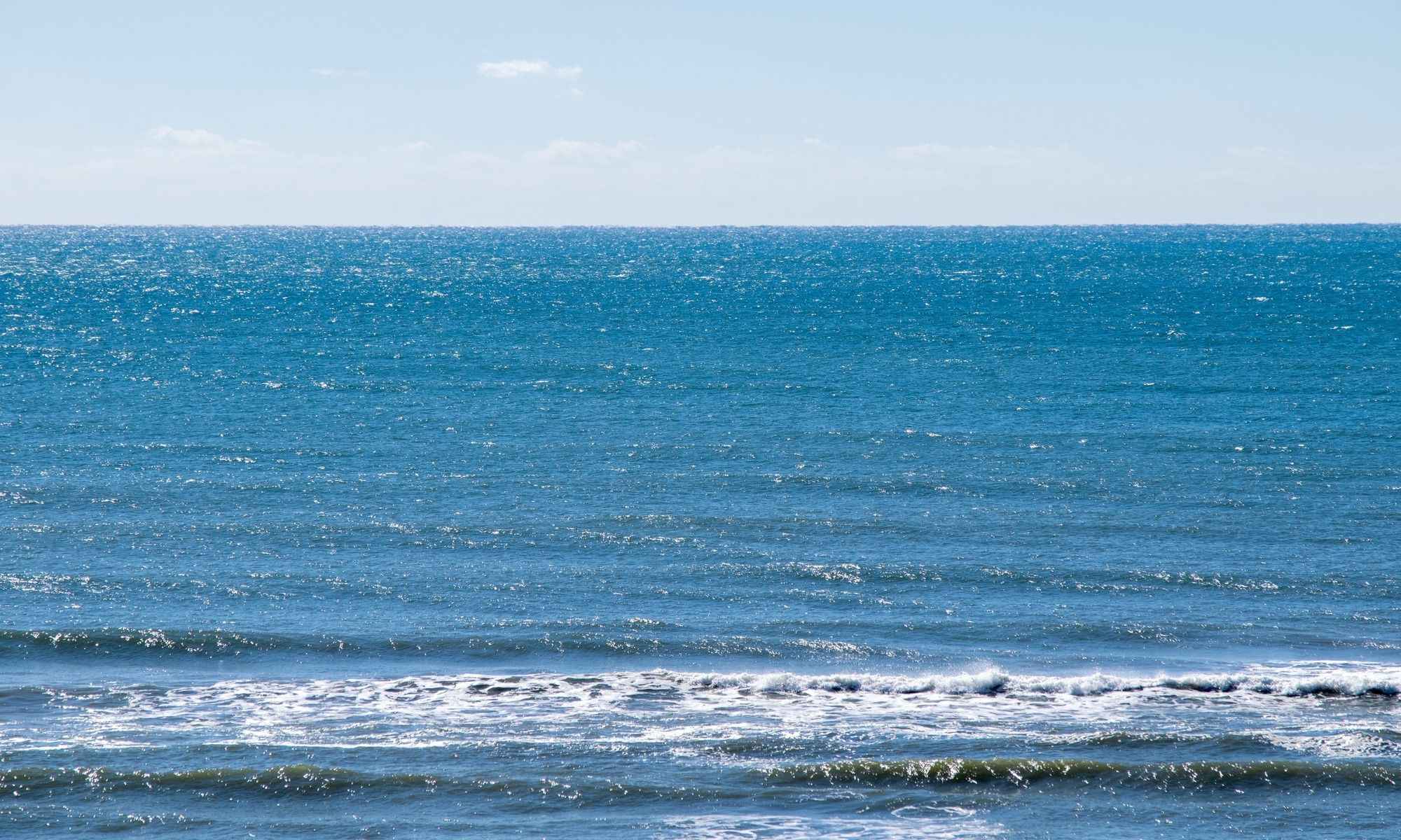 Tarpon Springs, FL Fishing: A Culturally Diverse Fishing Destination