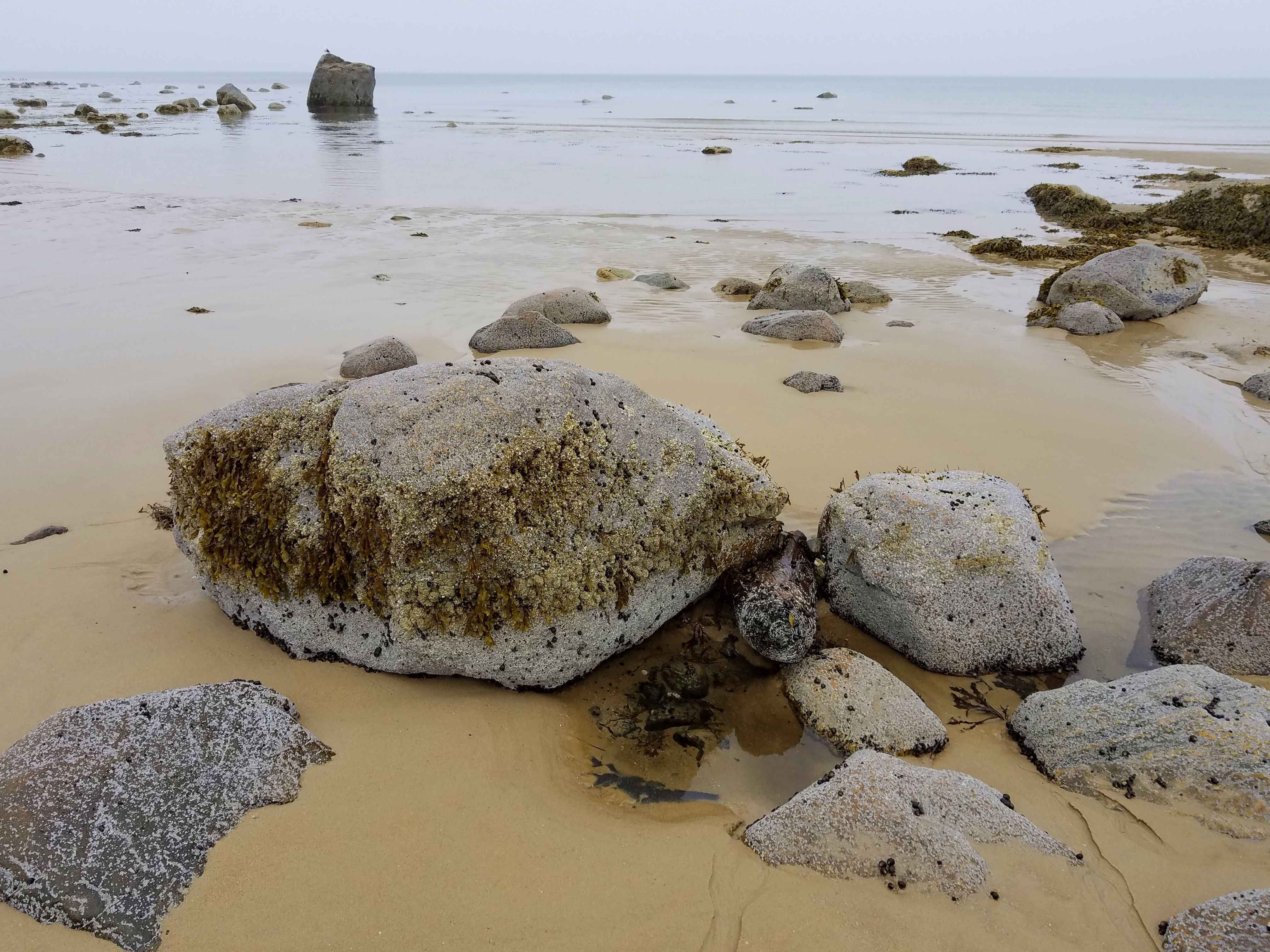 Book Your Fishing Charter in Dennis, MA